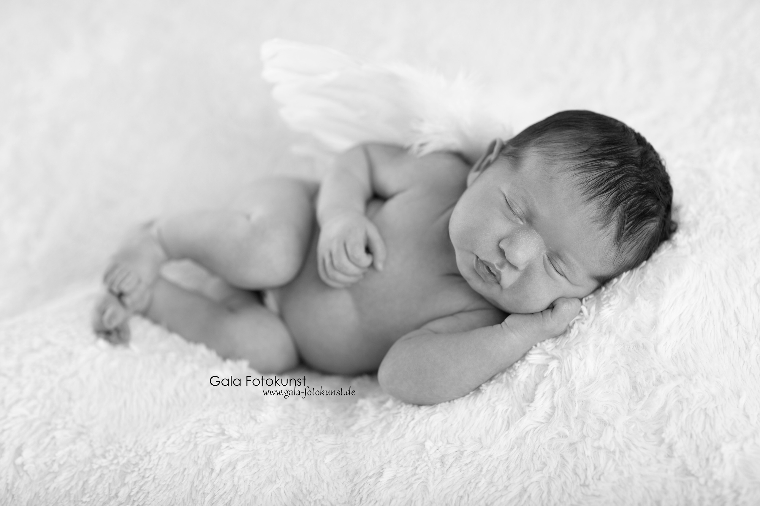 Neugeborene. Neugeborenen, Familien, Geschwister Fotografin aus Delmenhorst