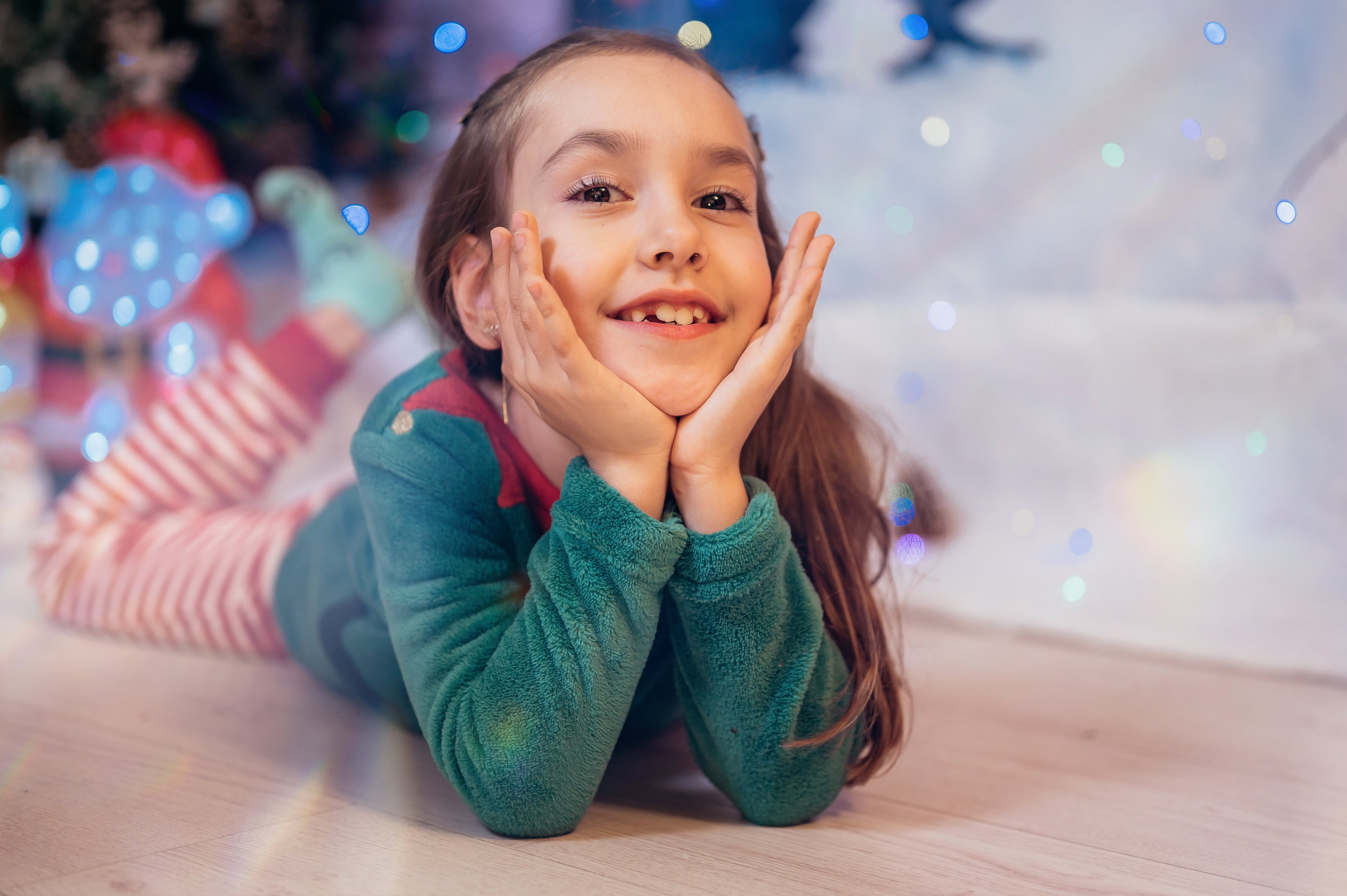 Sedinta Craciun Sofia