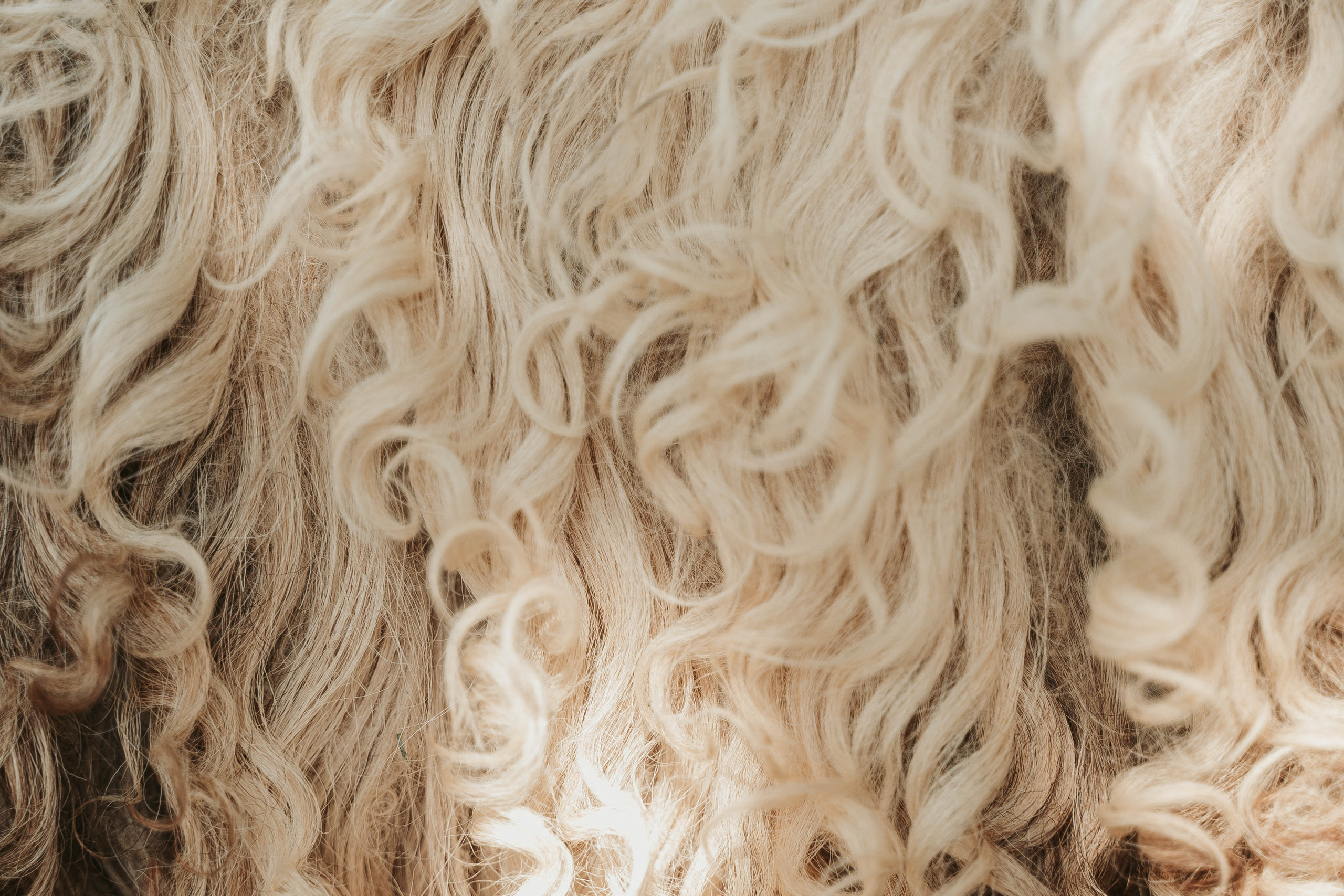 NEW ETHNIC  ESSAY. Vural Sahin I Photography & Videography