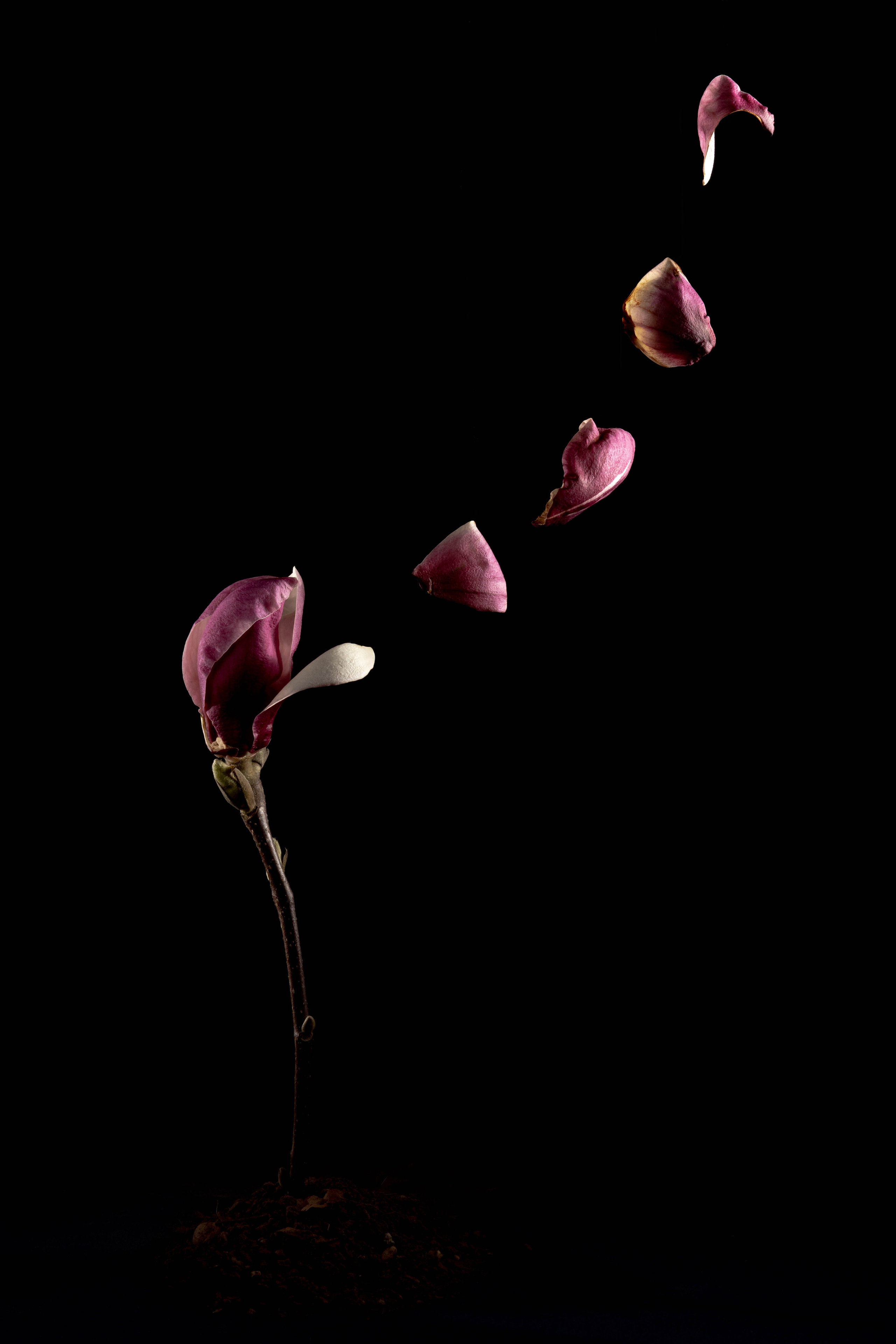 PERSONAL. Vural Sahin I Photography & Videography