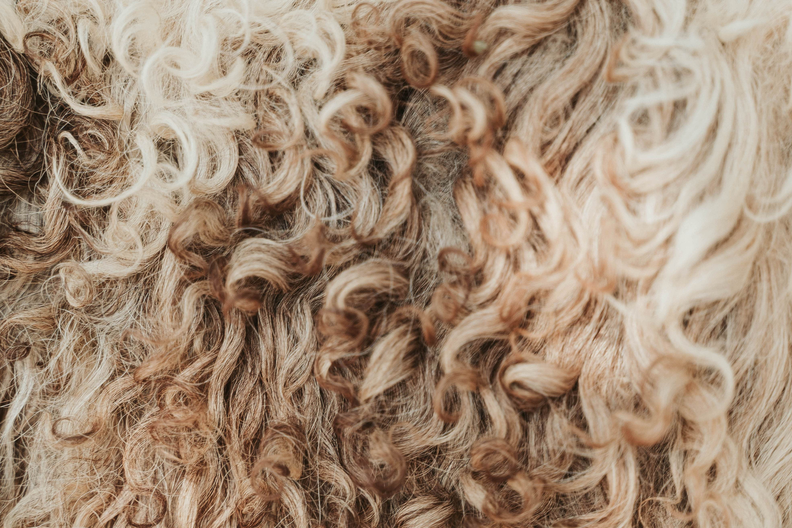 NEW ETHNIC  ESSAY. Vural Sahin I Photography & Videography