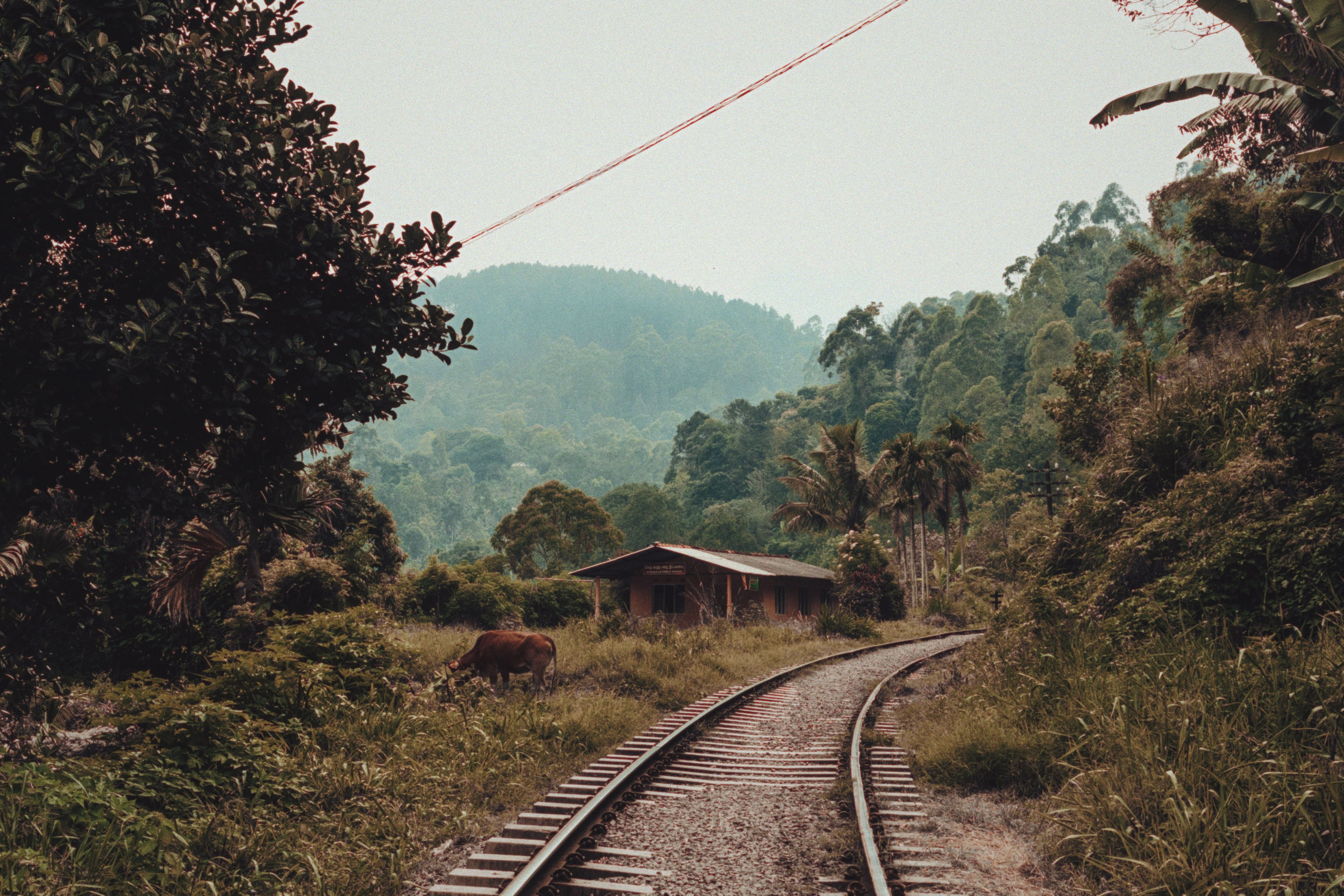 Ыы. Фотограф Андрей Друк