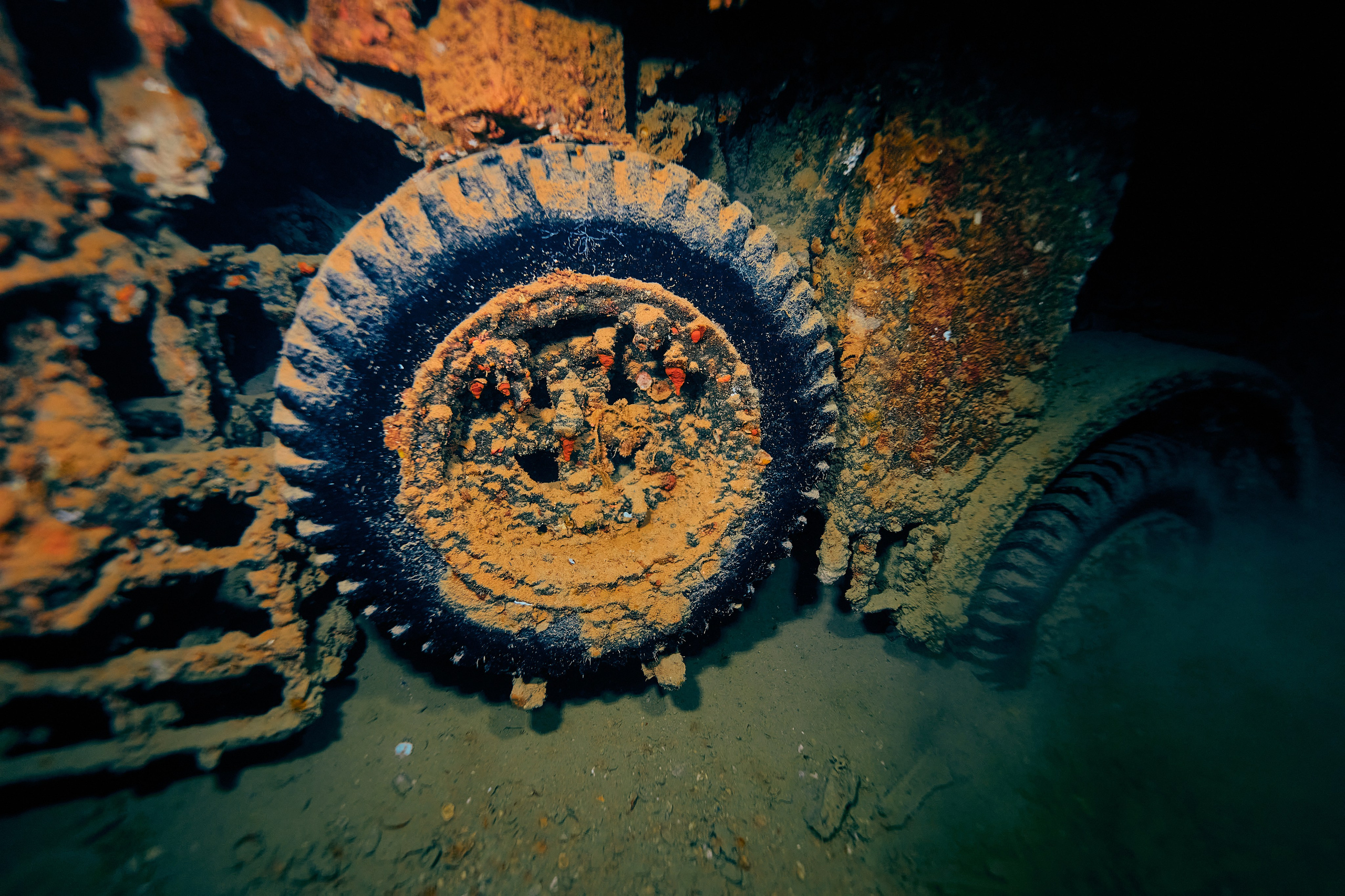 Fotograf podwodny Andriej Szypiłow - zdjęcia tajemniczego SS Thistlegorm. Underwater photographer Andriej Szypilow - photos of the mysterious SS Thistlegorm.