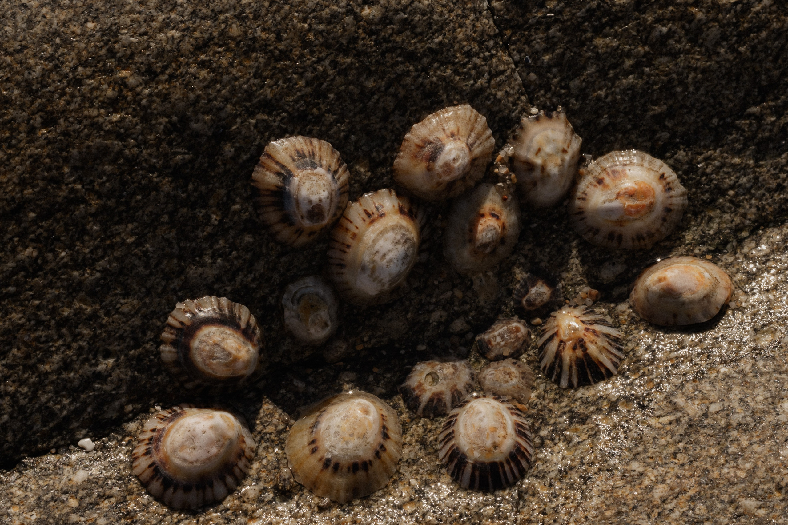 Zuhause im Herzen | Shooting an der Ozeanküste. Фотограф в Нюрнберге Ирина Менерт из Ансбаха