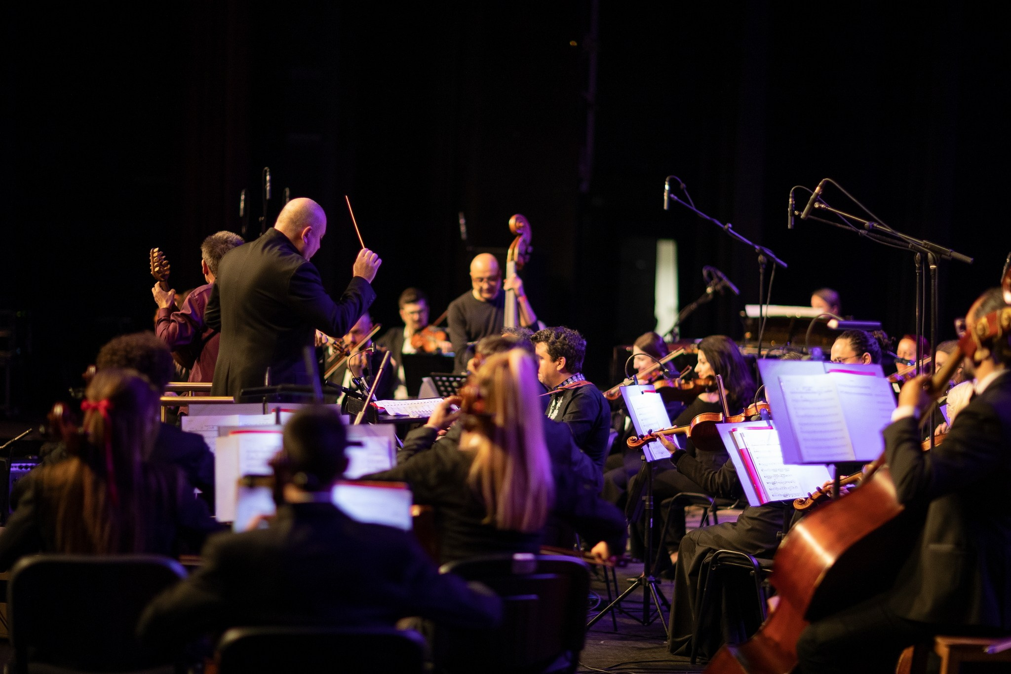 Найджъл Кенеди и Георги Андреев — репетиция и концерт в София, 13.02.2025. Александър Сандев - личен сайт на фотографа