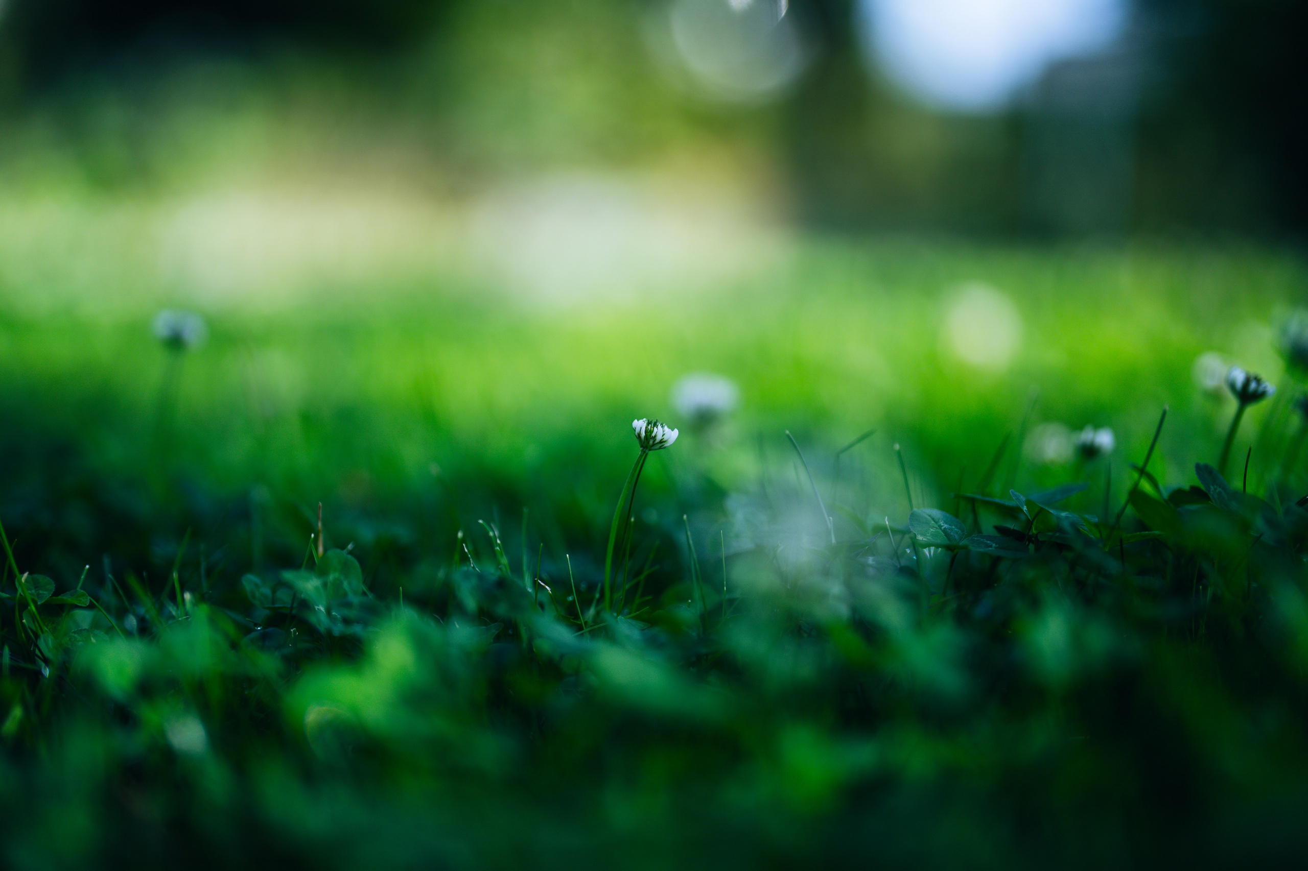Landscape. Fotograf Poznan