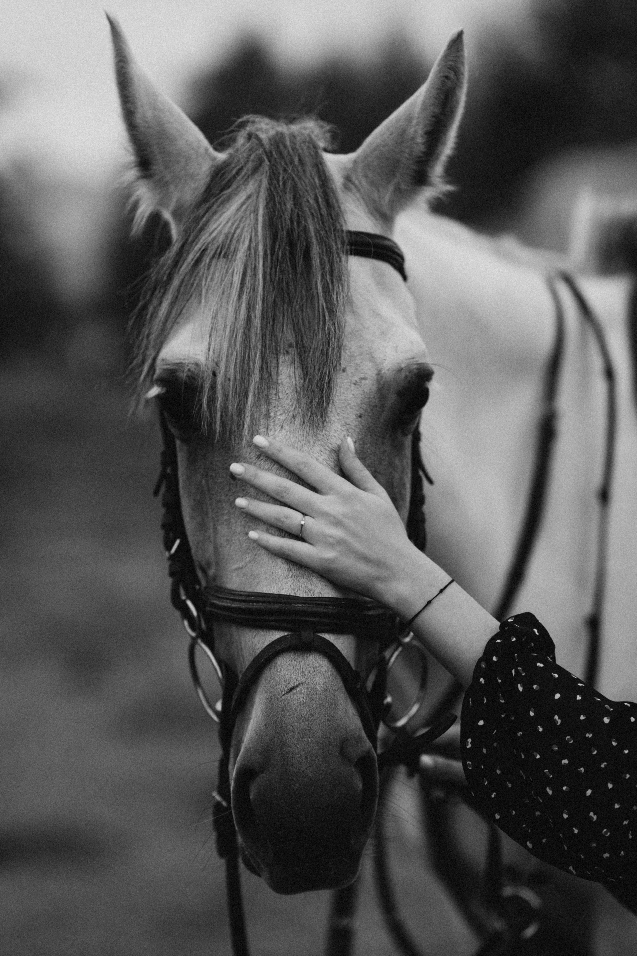 Cuplu. Mihai Padurariu - fotograf