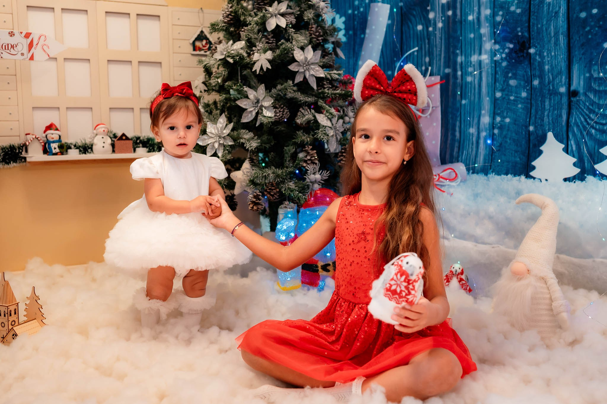 Sedinta Craciun Alina