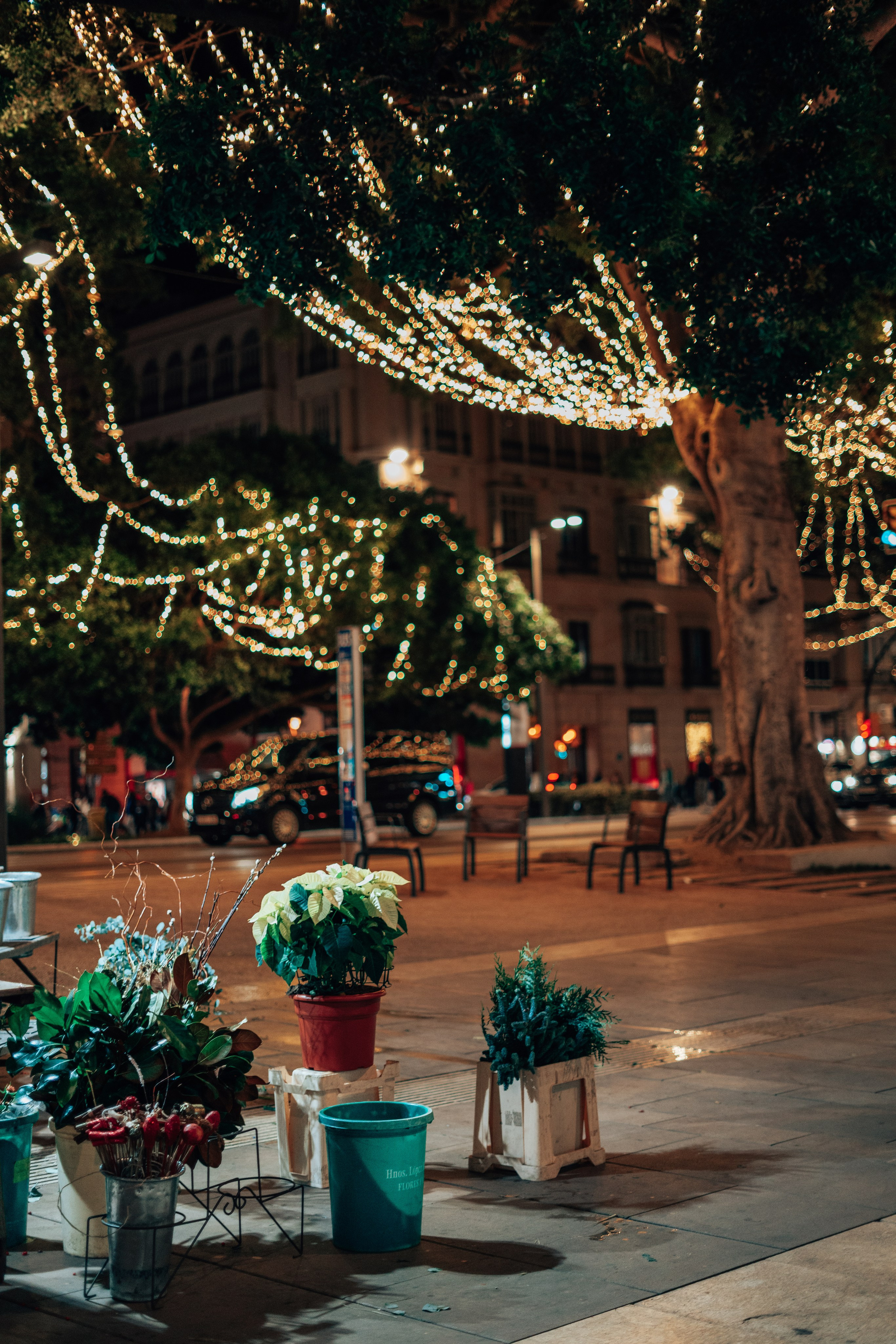 Малага. Анастасия Благова — Твой фотограф в Малаге 🇪🇸