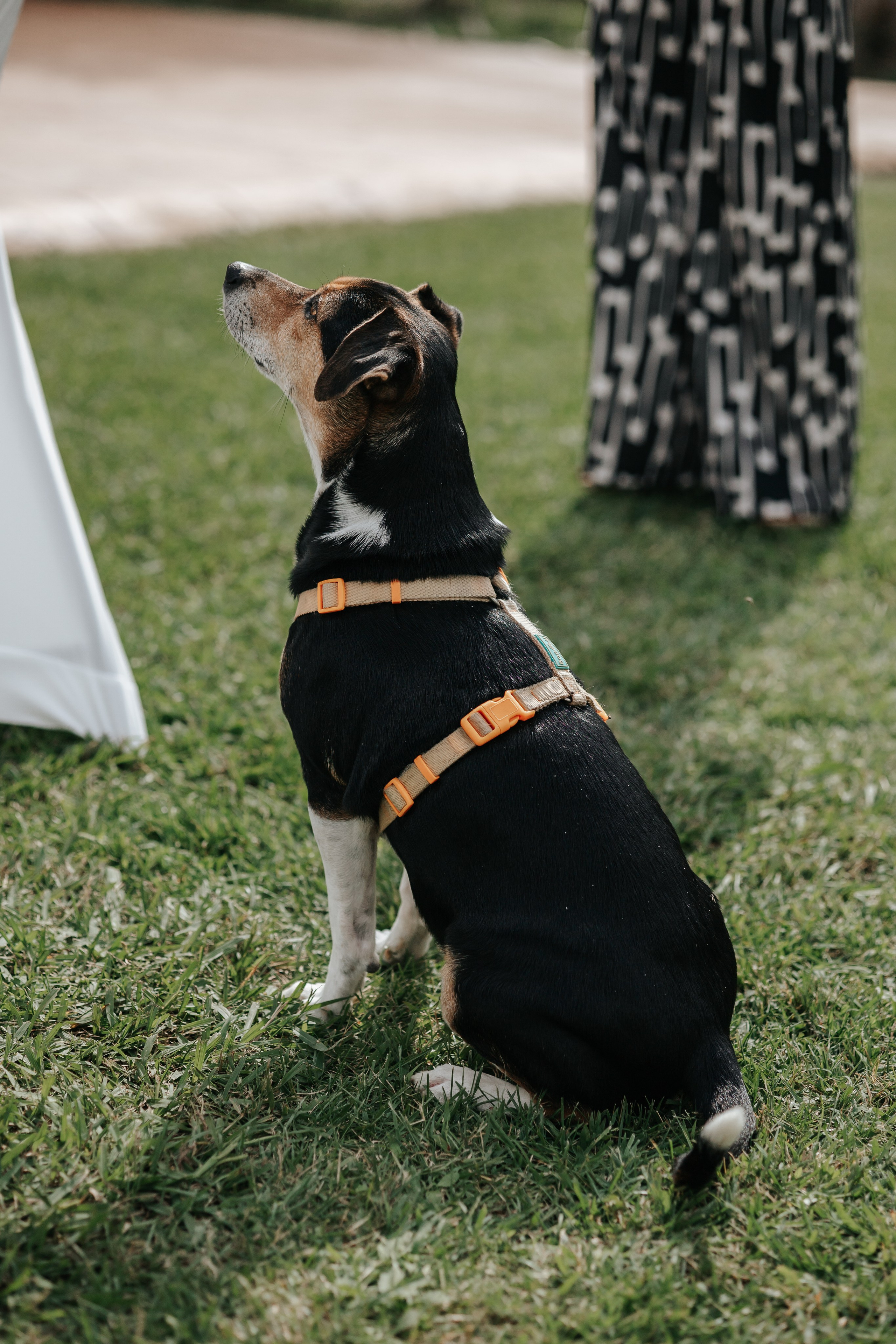 Marta+Adria, 27.09.2025, Can Caballe. Fotógrafa de bodas en Cataluña