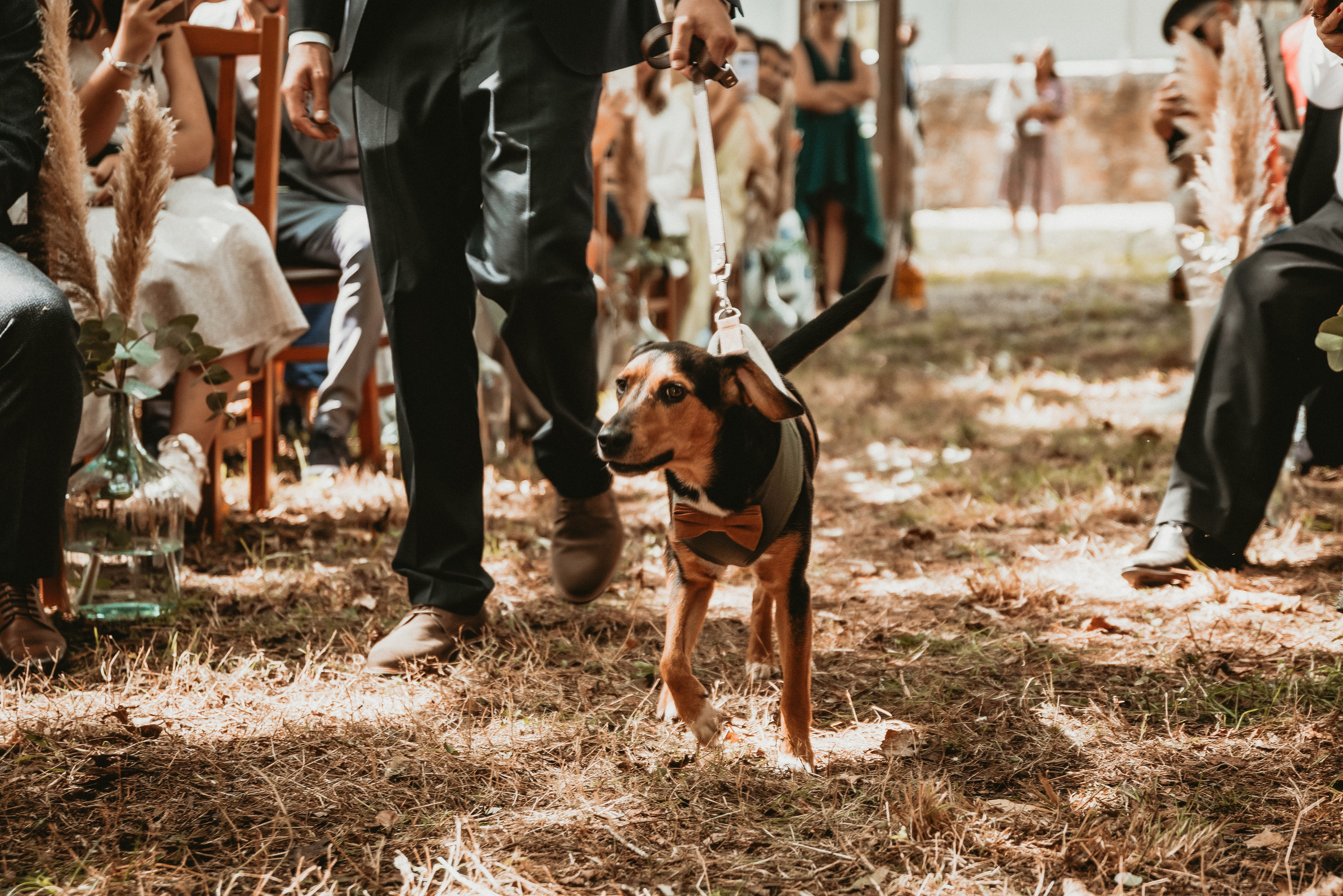 São & Luís. Photographe de mariage et de famille à Braga — Alexandra Mieres Photography