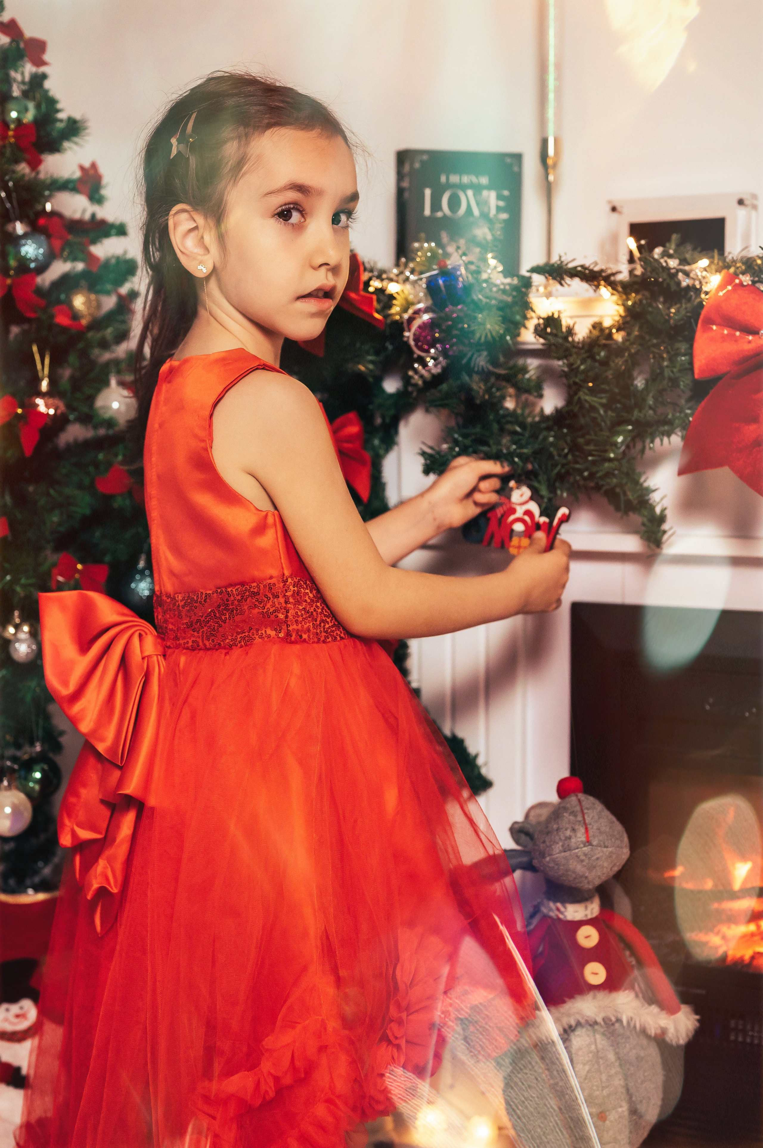 Sedinta Craciun Sofia