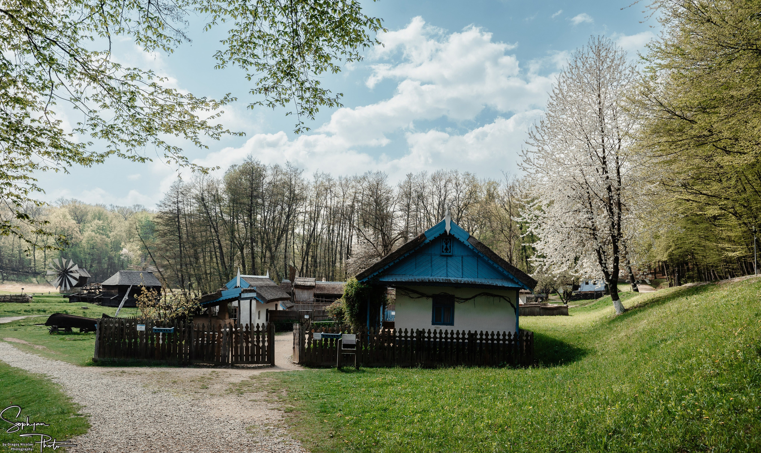 Sedinta foto save the date Andreea&Andrei