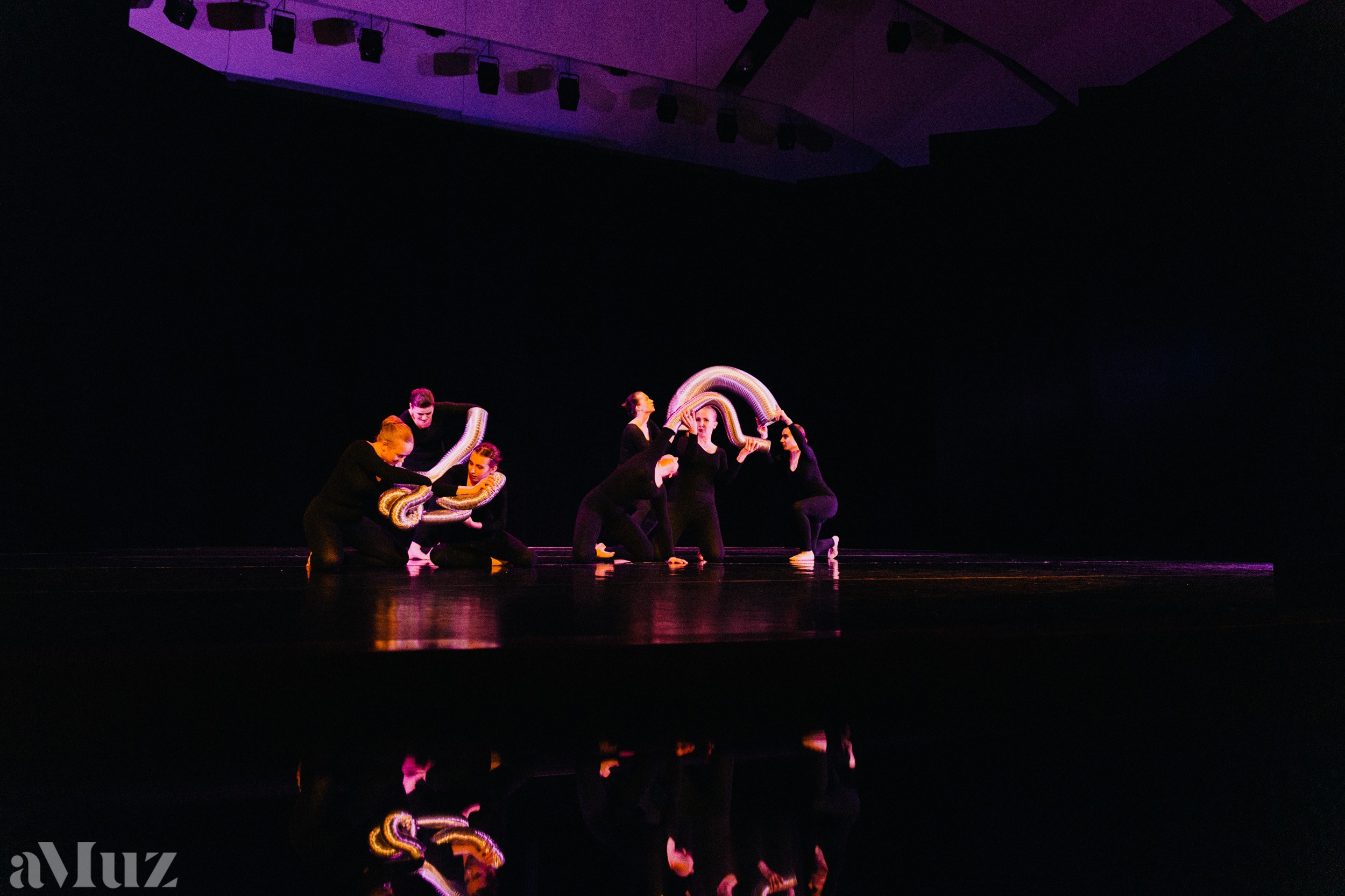 Rytmika. Fotograf Ślubny Warszawa - Sesje Biznesowe Rodzinne Eventy