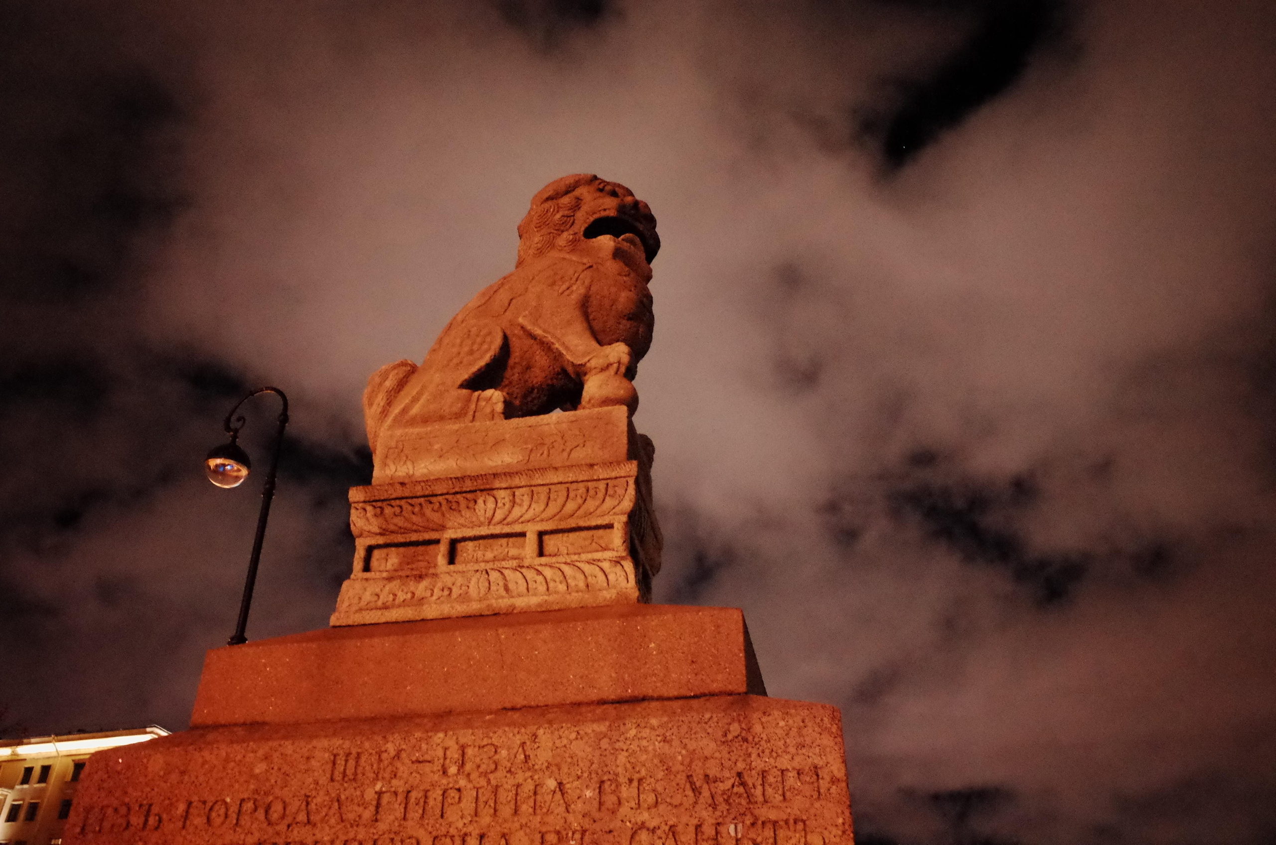 Водный ветер господина Петера. Виктория Дини. Арт-фотография