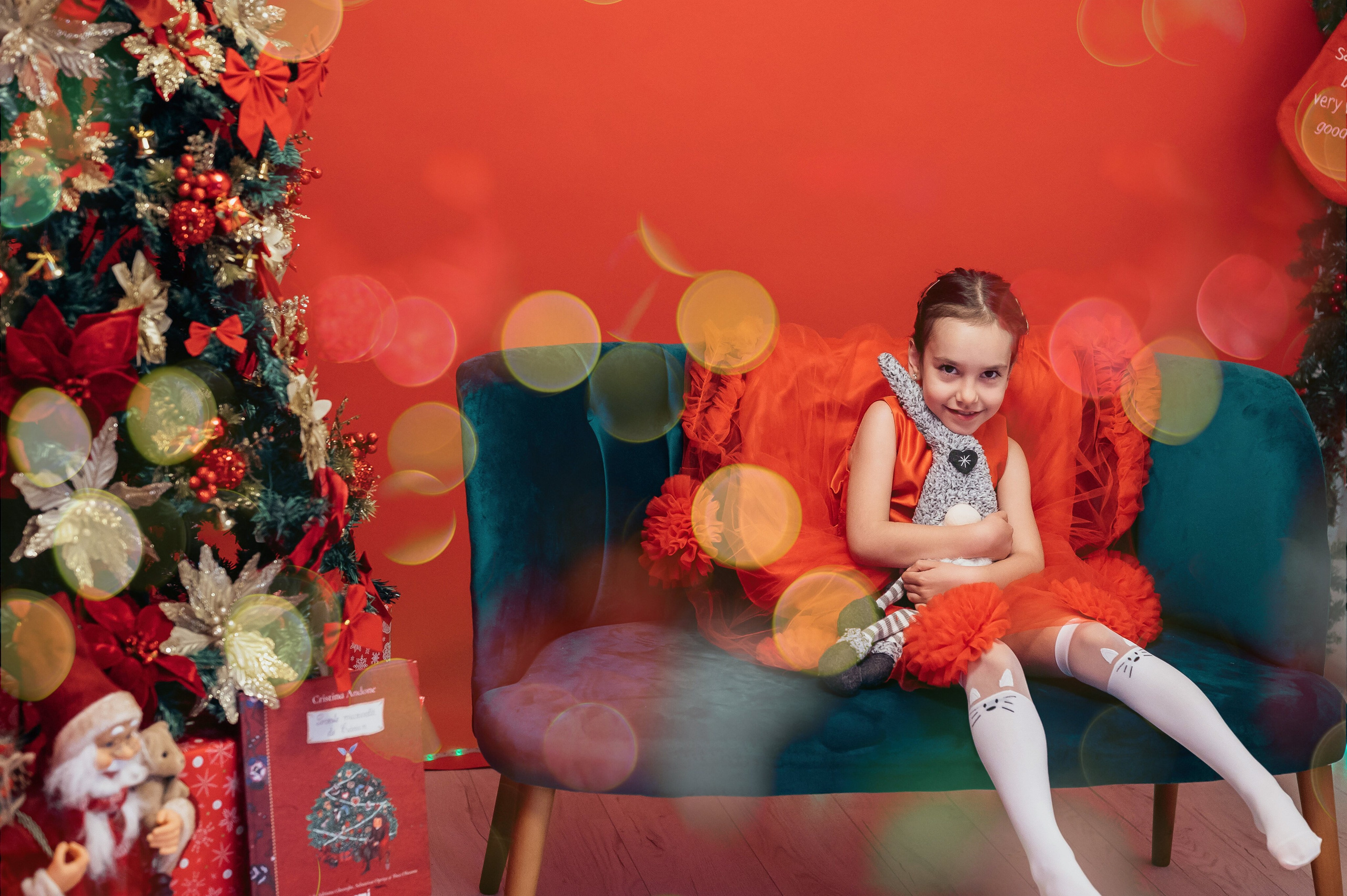 Sedinta Craciun Sofia