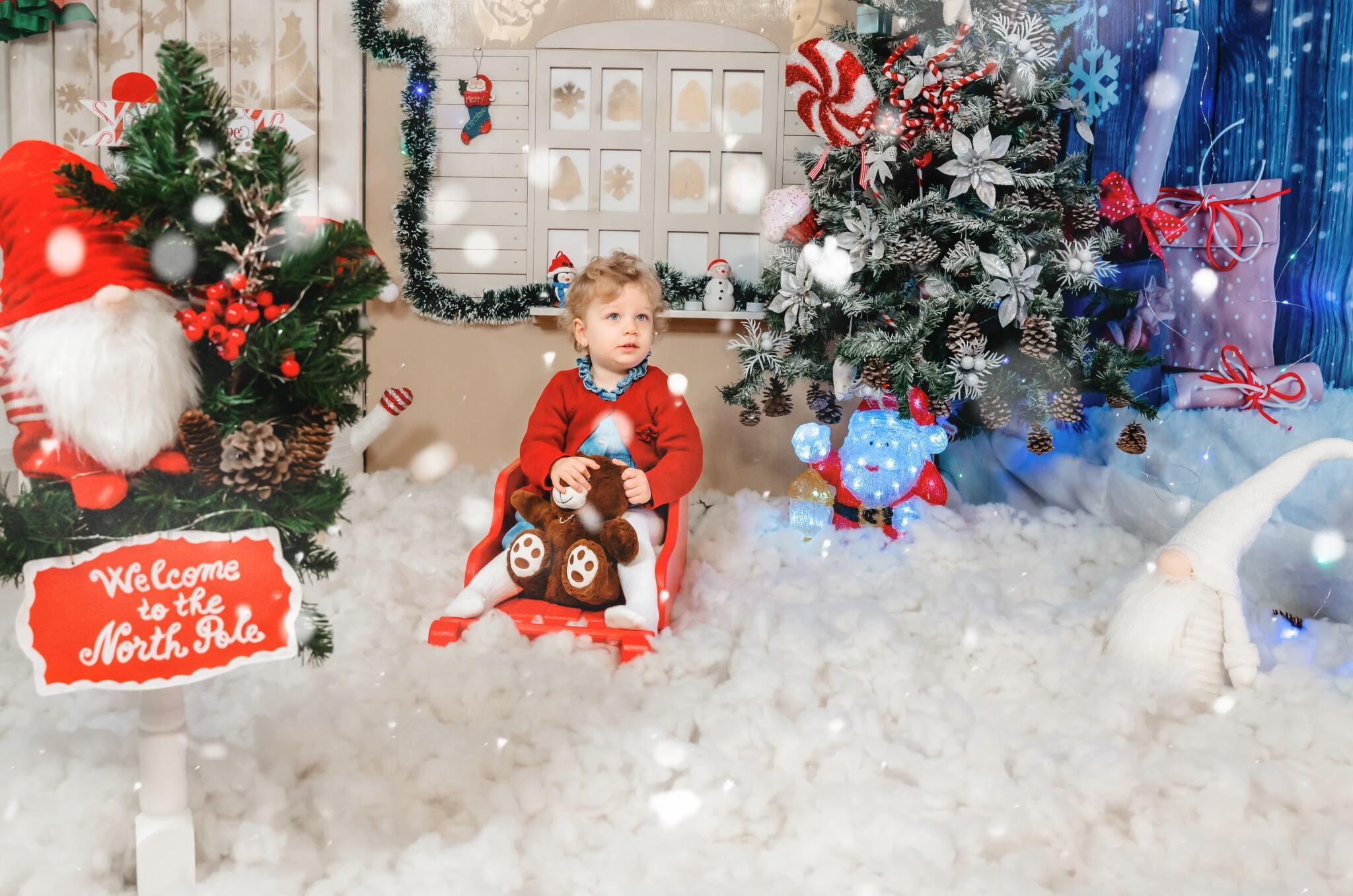 Sedinta Craciun Lucian