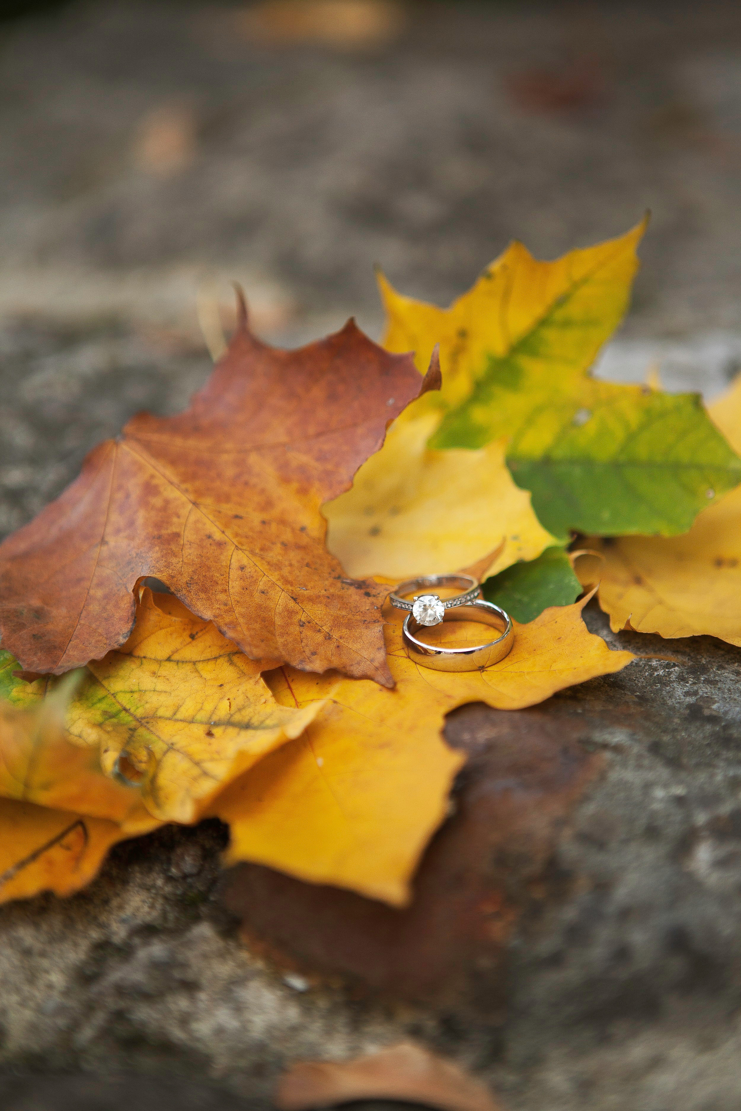 Hochzeit, Hochzeitsfotograf, Trauung. Adelya Tomin