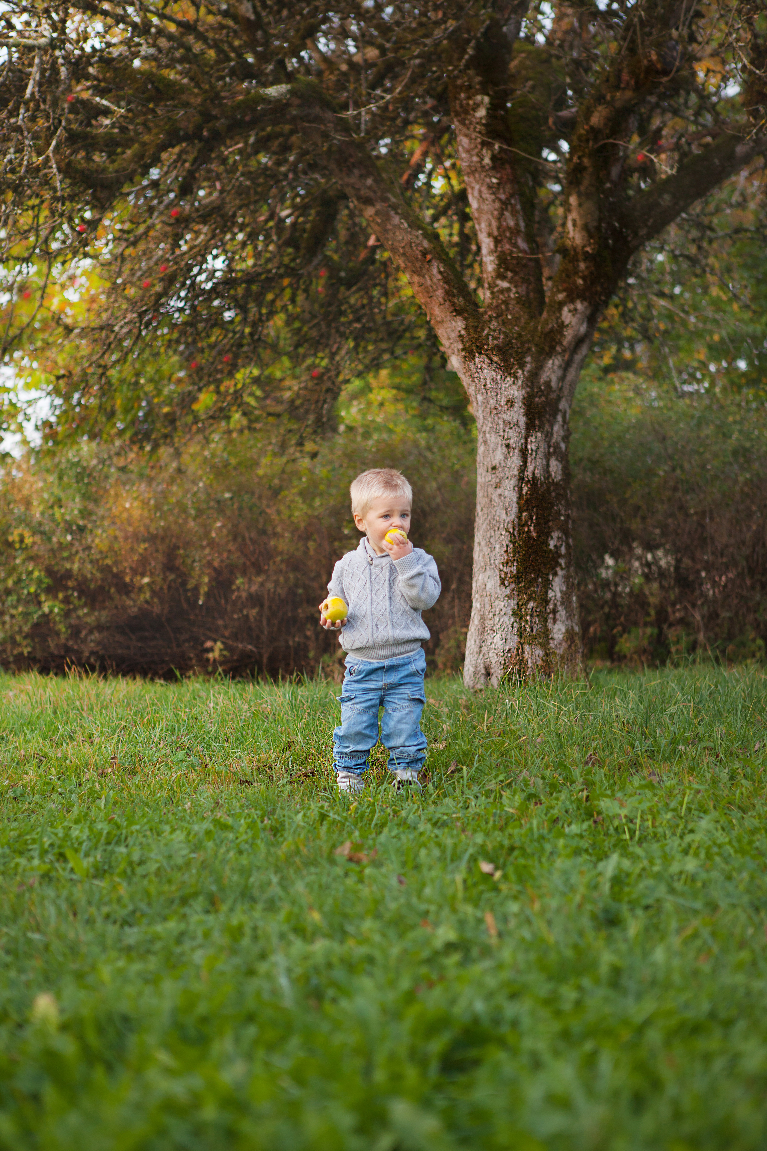 Kinderporträt. Adelya Tomin