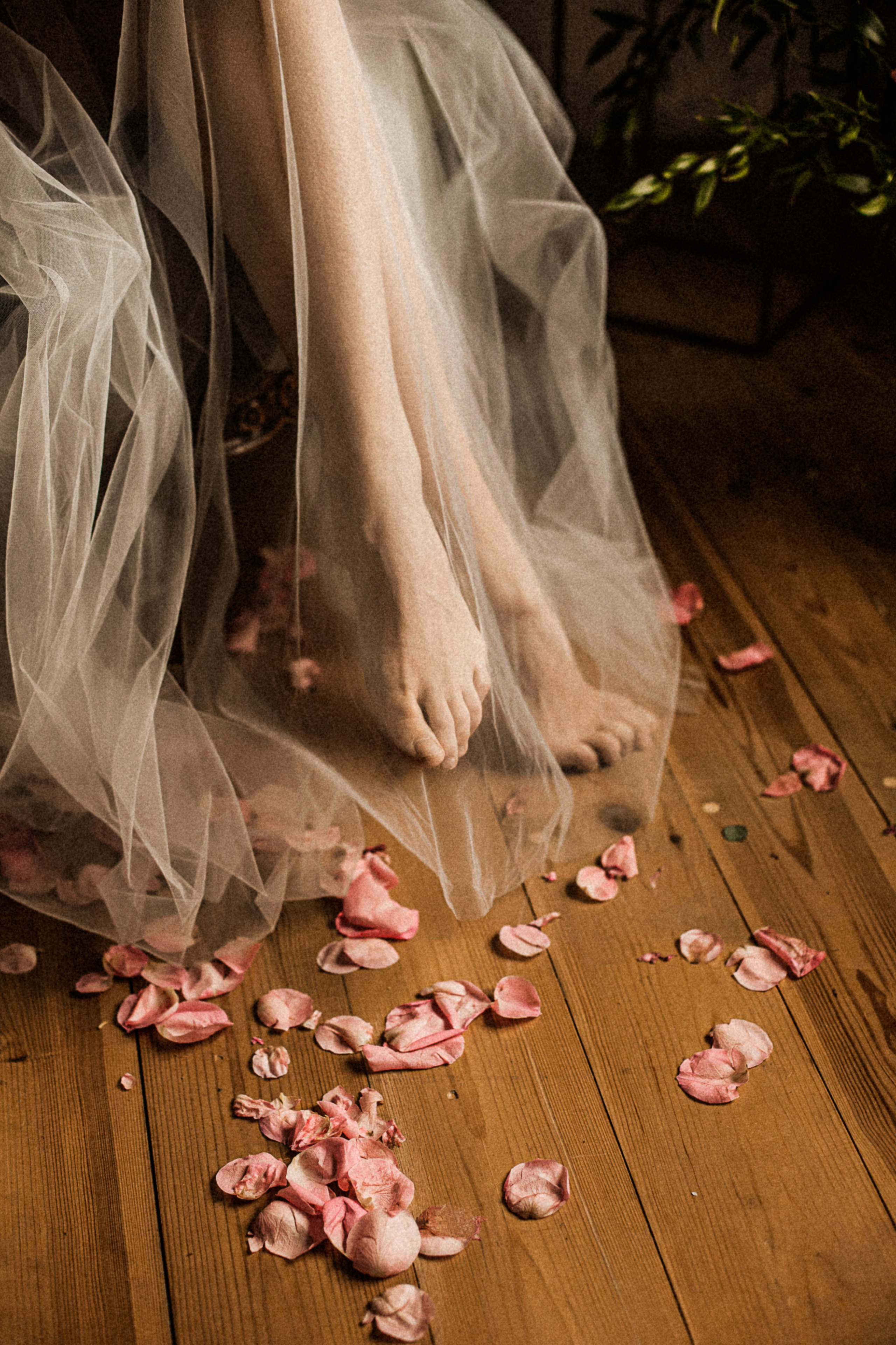 Album 1. Fotograf Warszawa, Fotograf ślubny, Фотограф свадебный Варшава