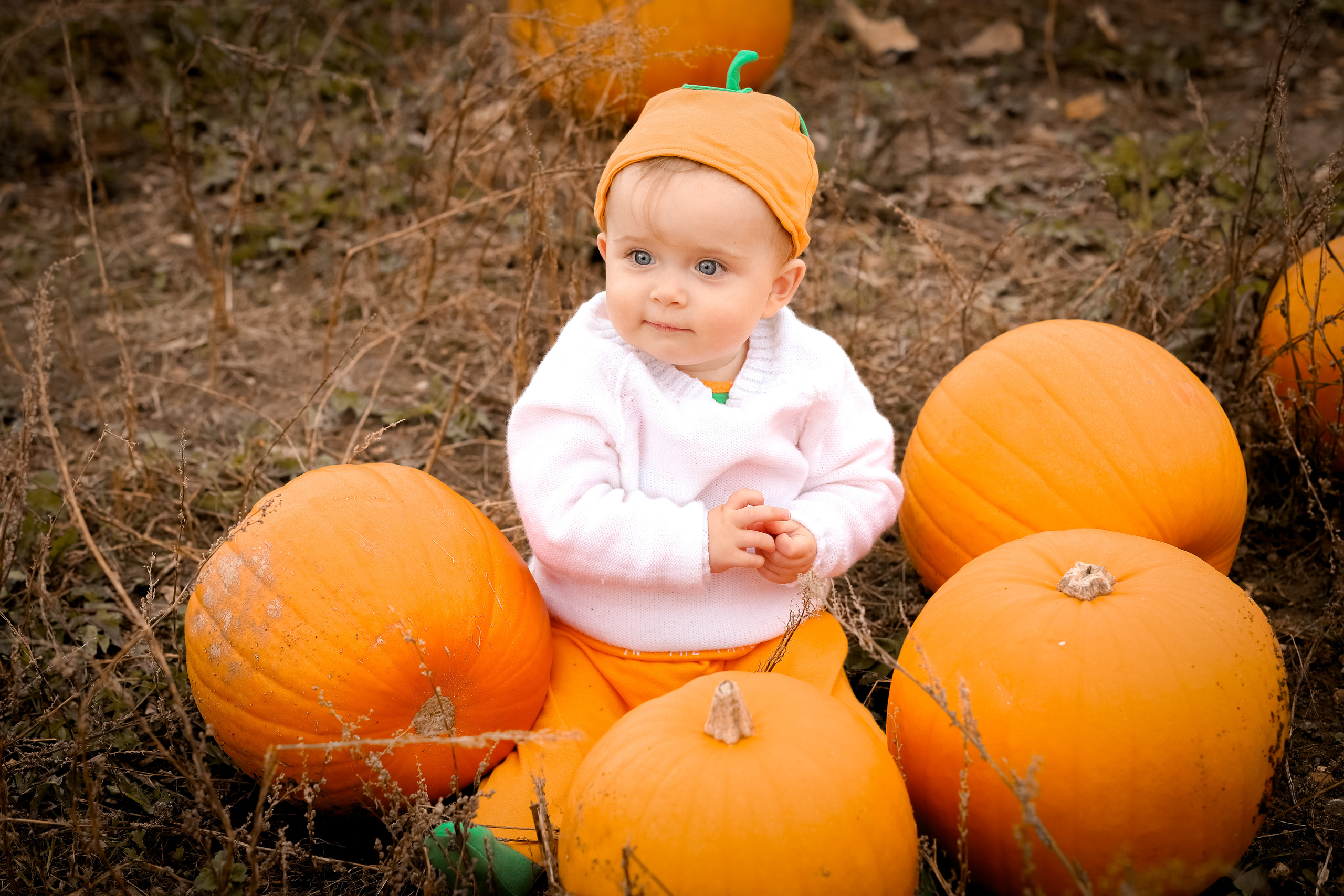 Pumpkins. Family & children’s photographer in Herts & West London Iryna Blair