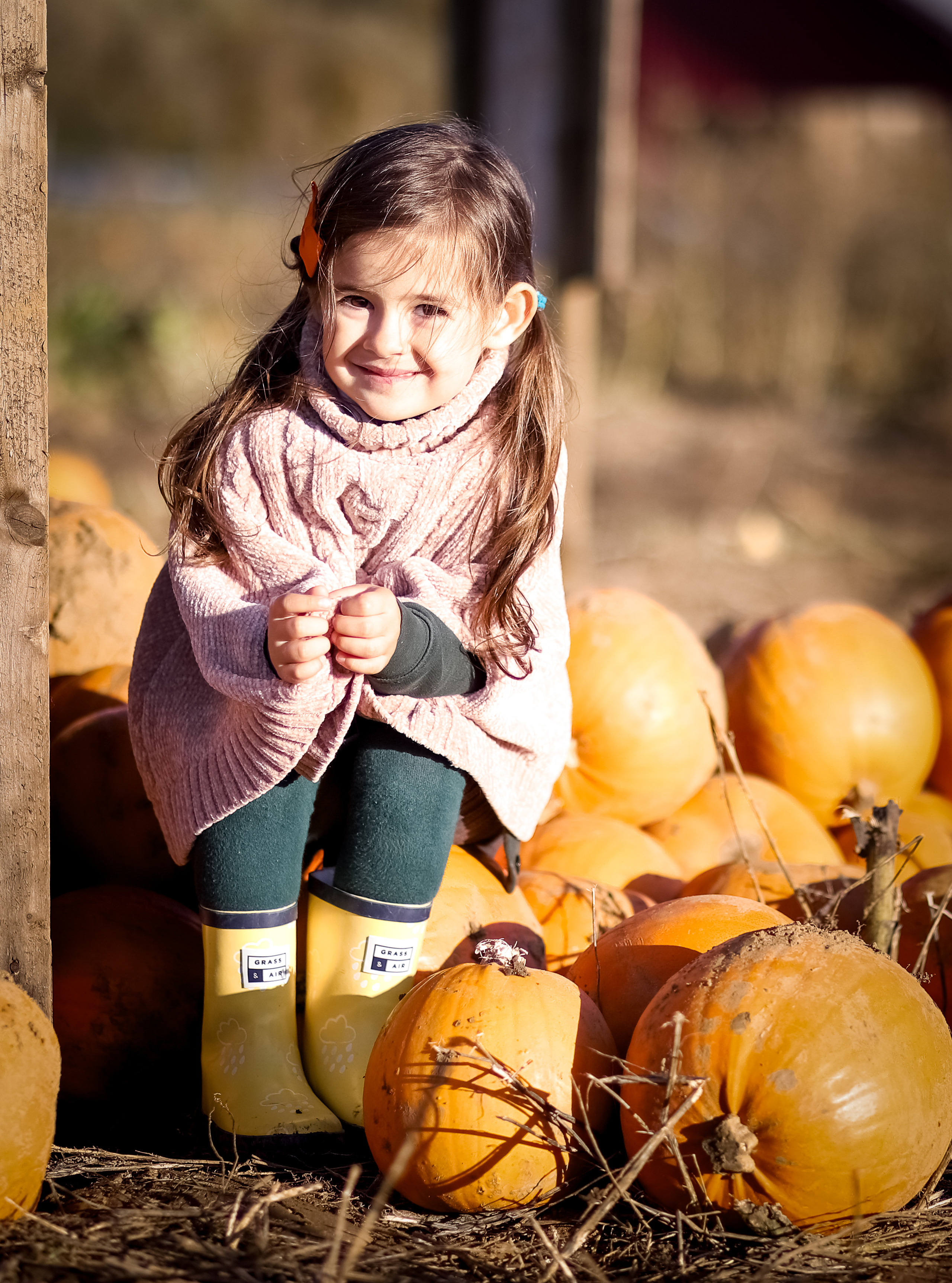 Pumpkins. Family & children’s photographer in Herts & West London Iryna Blair