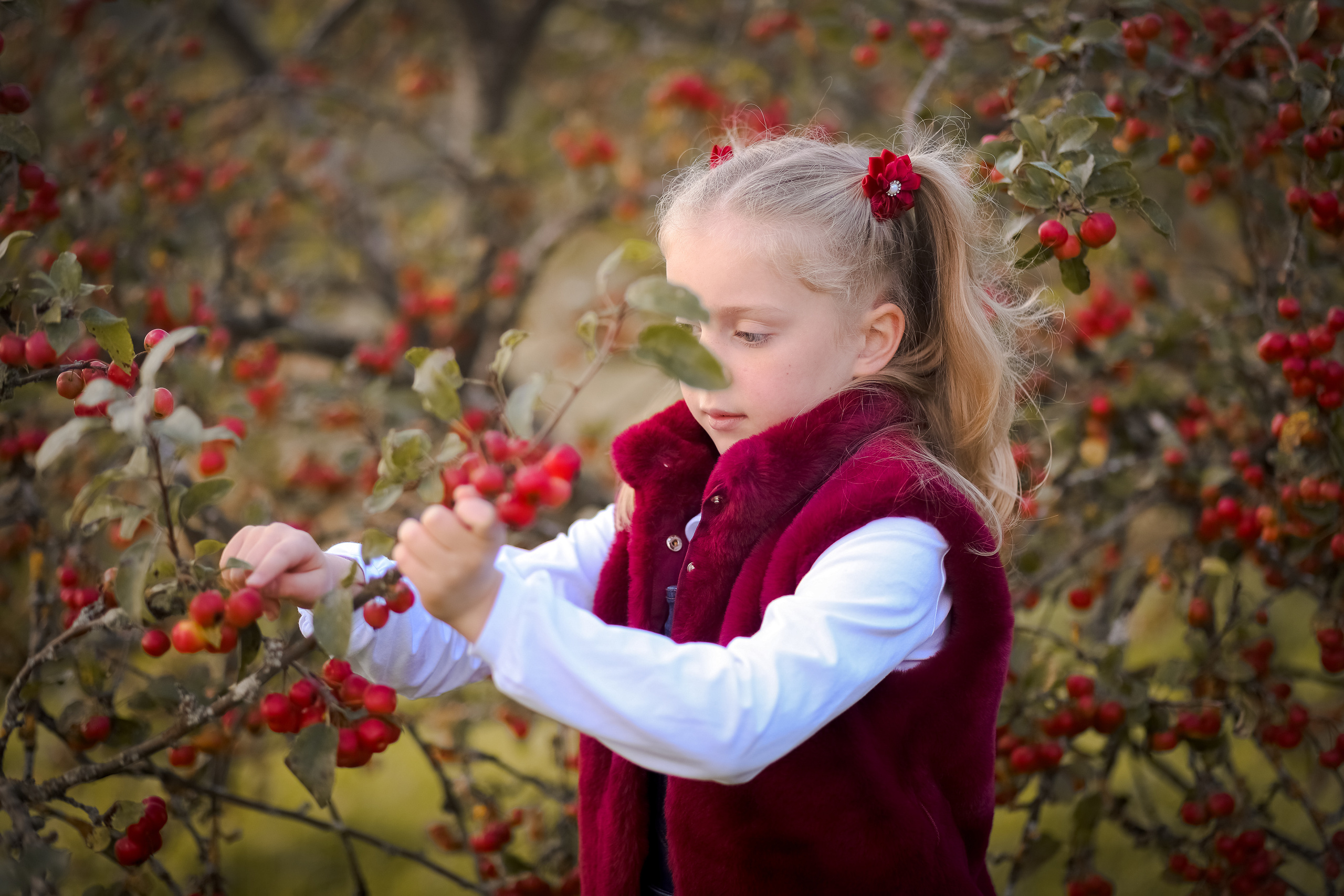 Apples. Family & children’s photographer in Herts & West London Iryna Blair