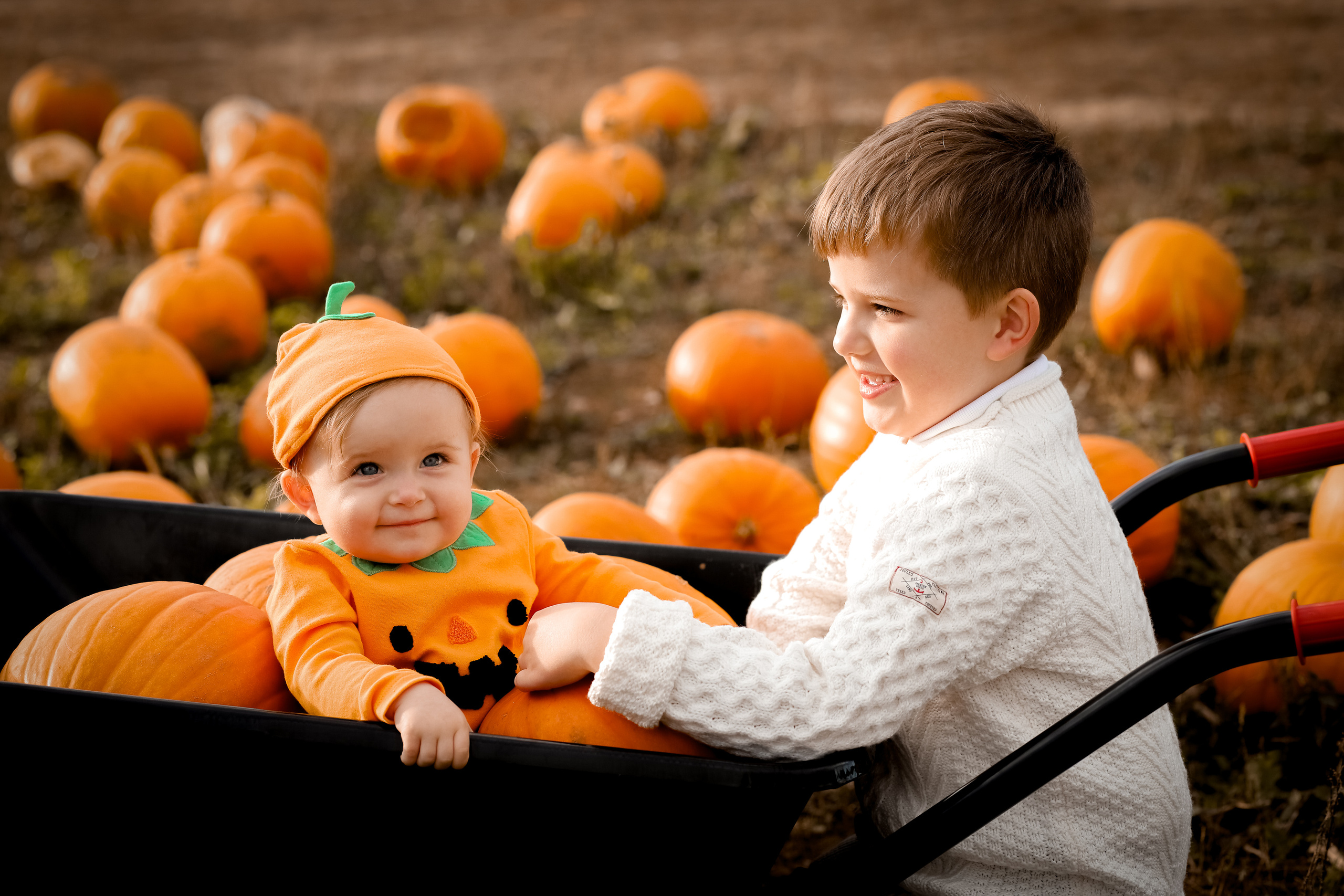 Pumpkins. Family & children’s photographer in Herts & West London Iryna Blair