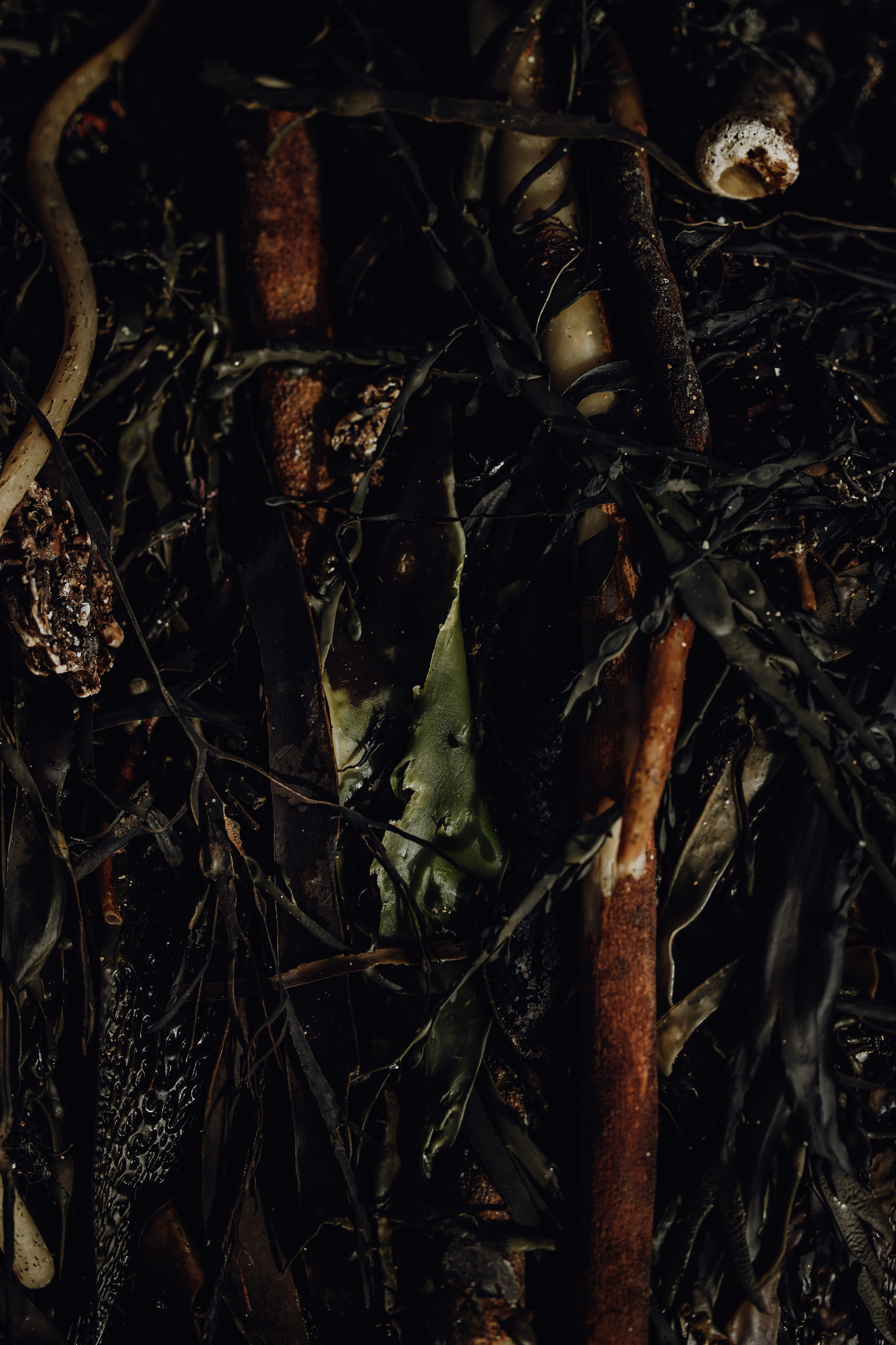 Forecast: Unpredictable. Heart In Lens Photography from Reykjavík, Iceland