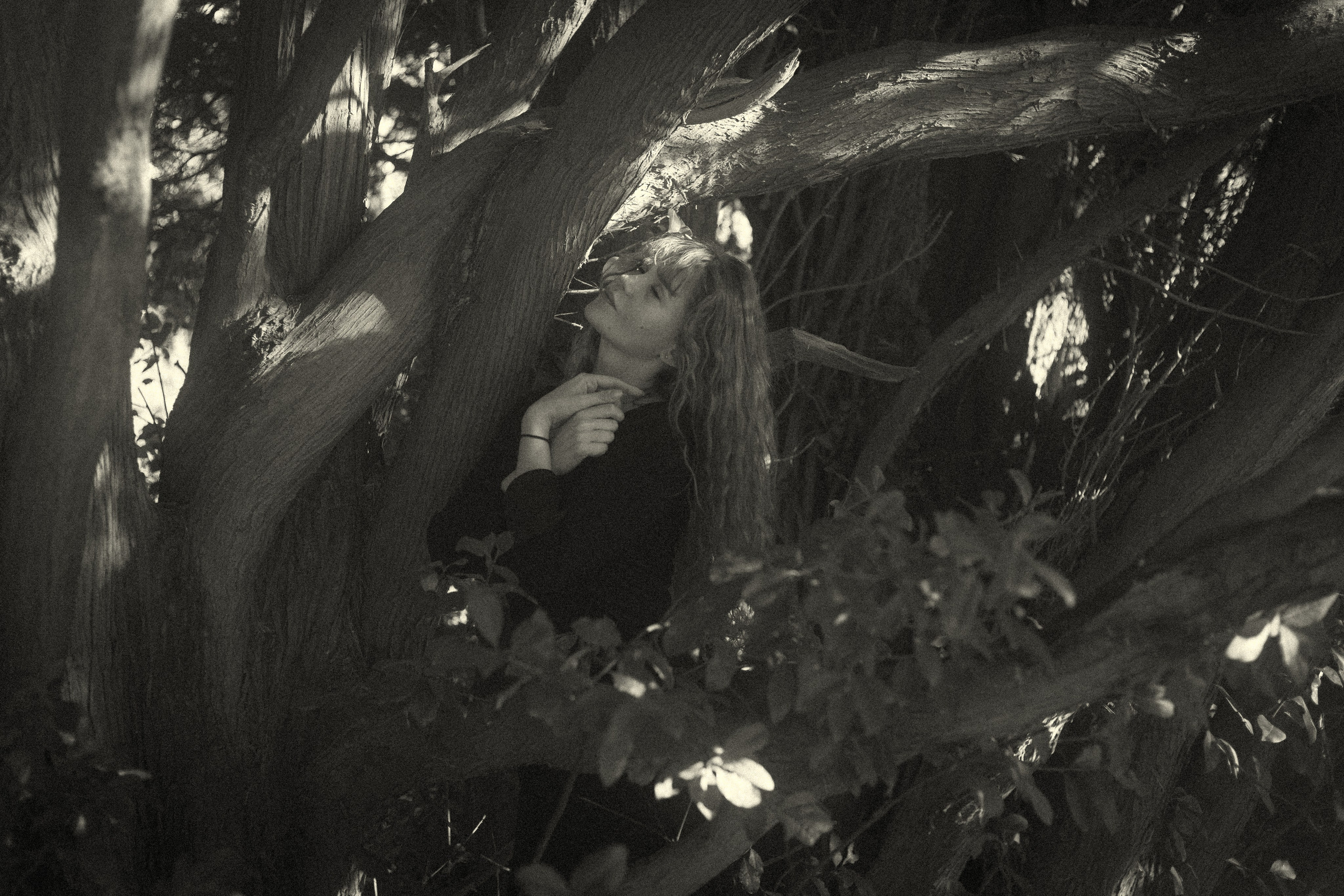 Sunrise. Histoires d’amour, séances photos de famille et de mariage en France