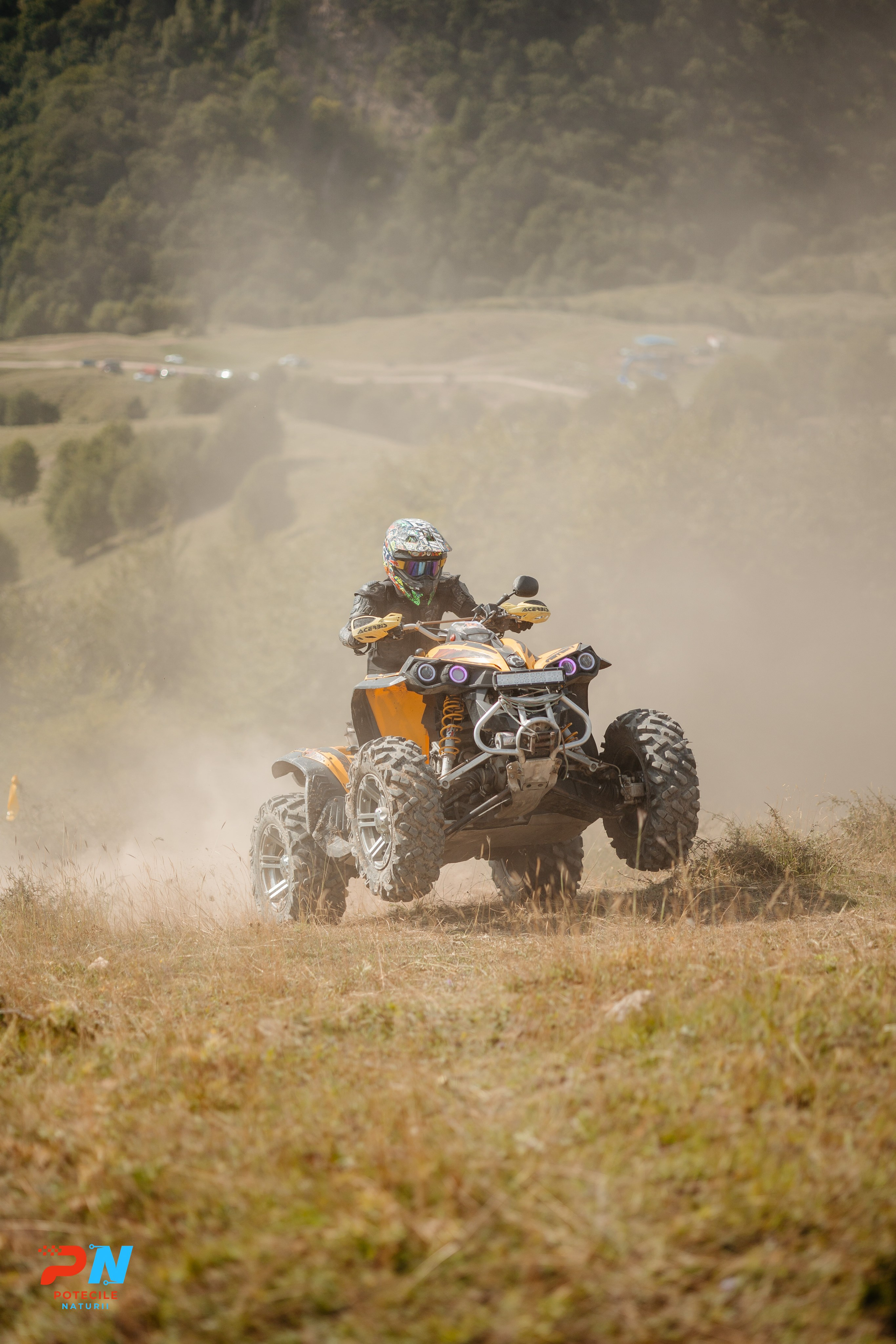 Potecile Naturii 2025. Raw Studio. Fotograful tau de nunta!