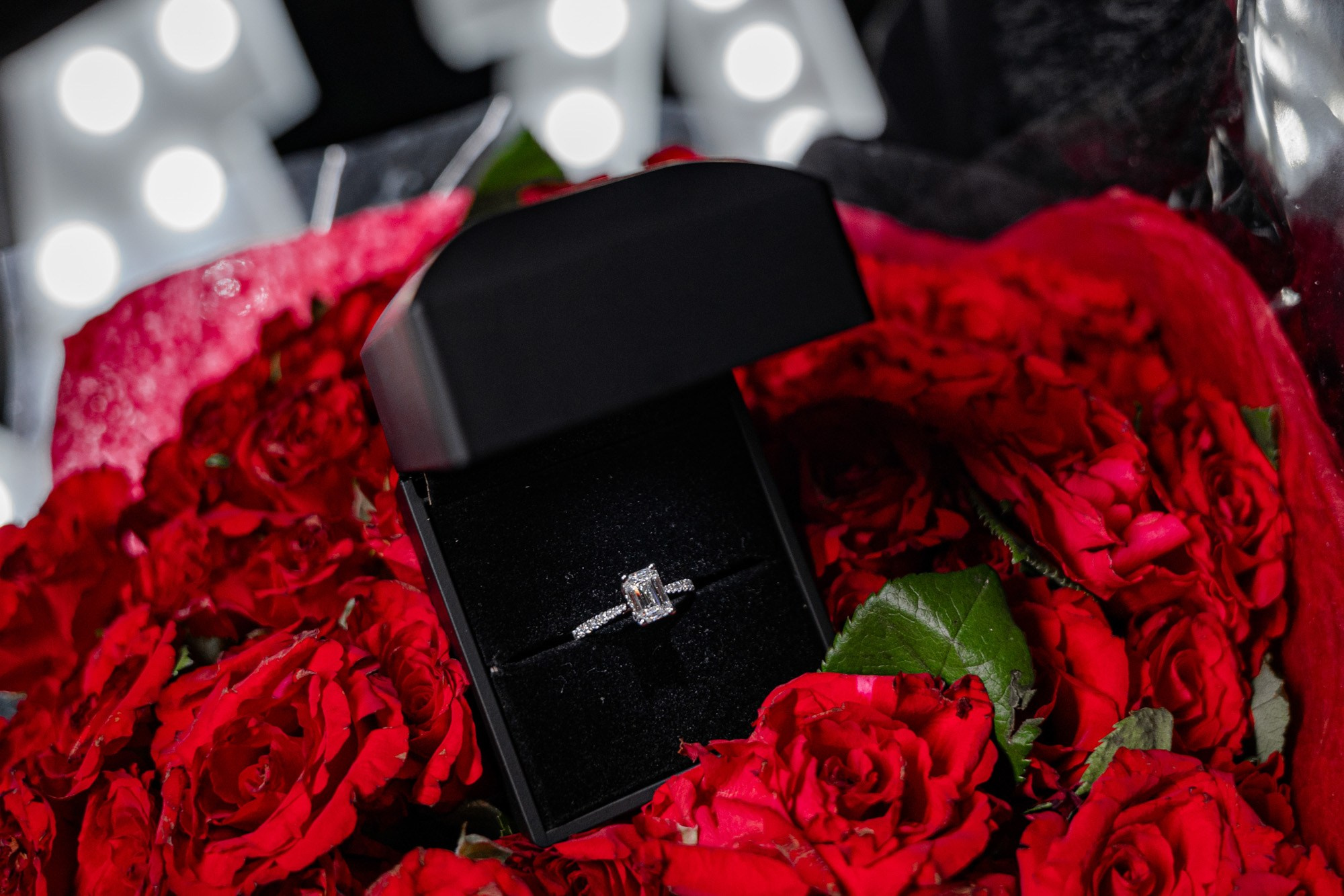 Proposal London. Tonya Kyrylenko photographer in London