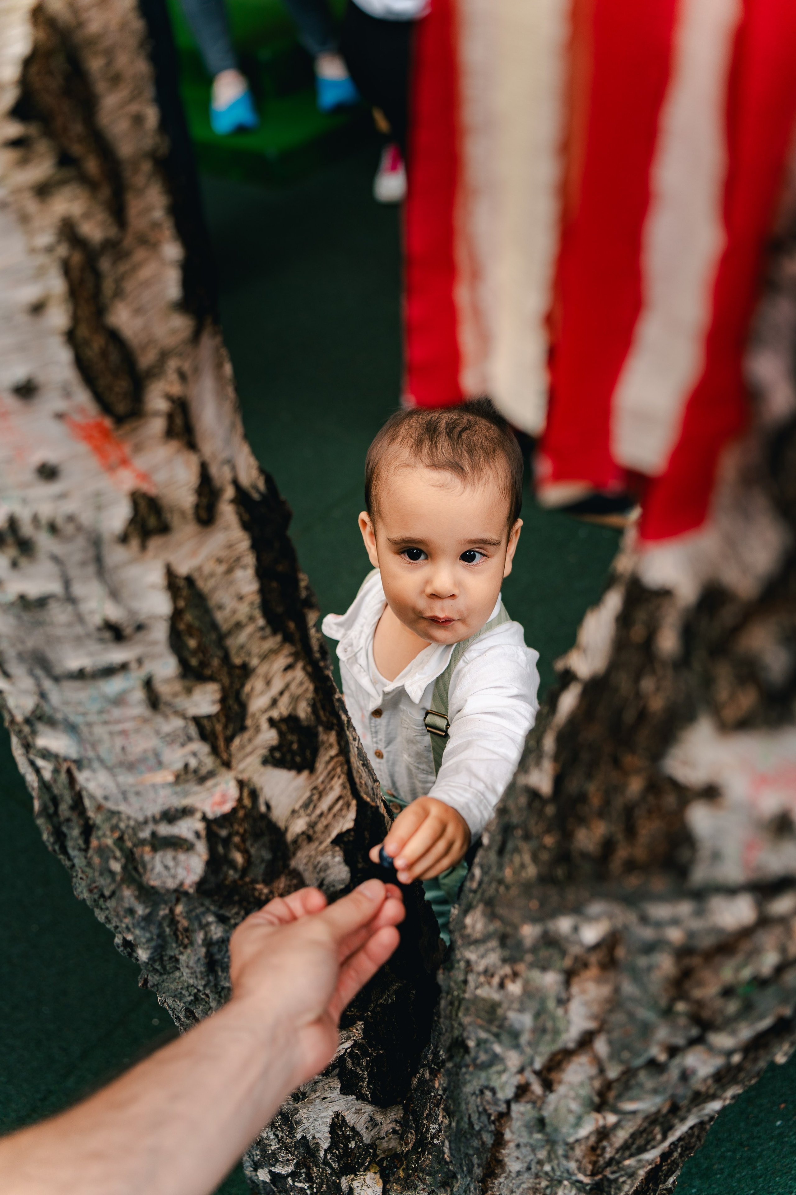Miniterra Carusel. Liviu Andrei - Fotograf