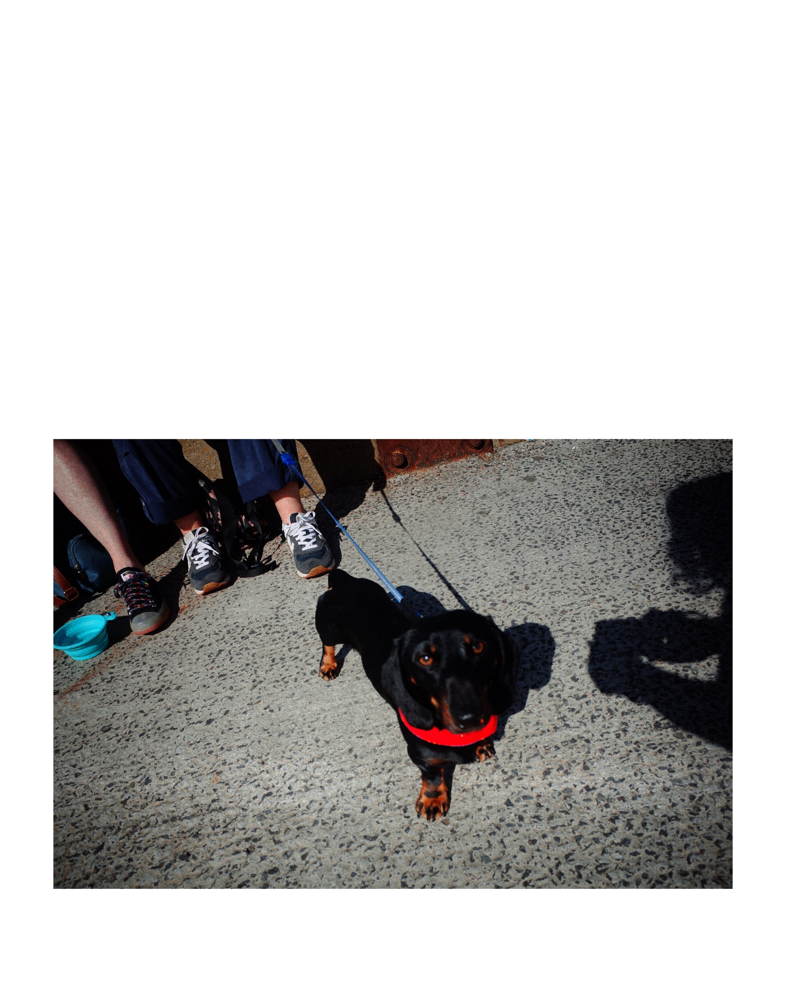 Wuthering Kates. Victoria Dini. Art photography in London / Folkestone, UK