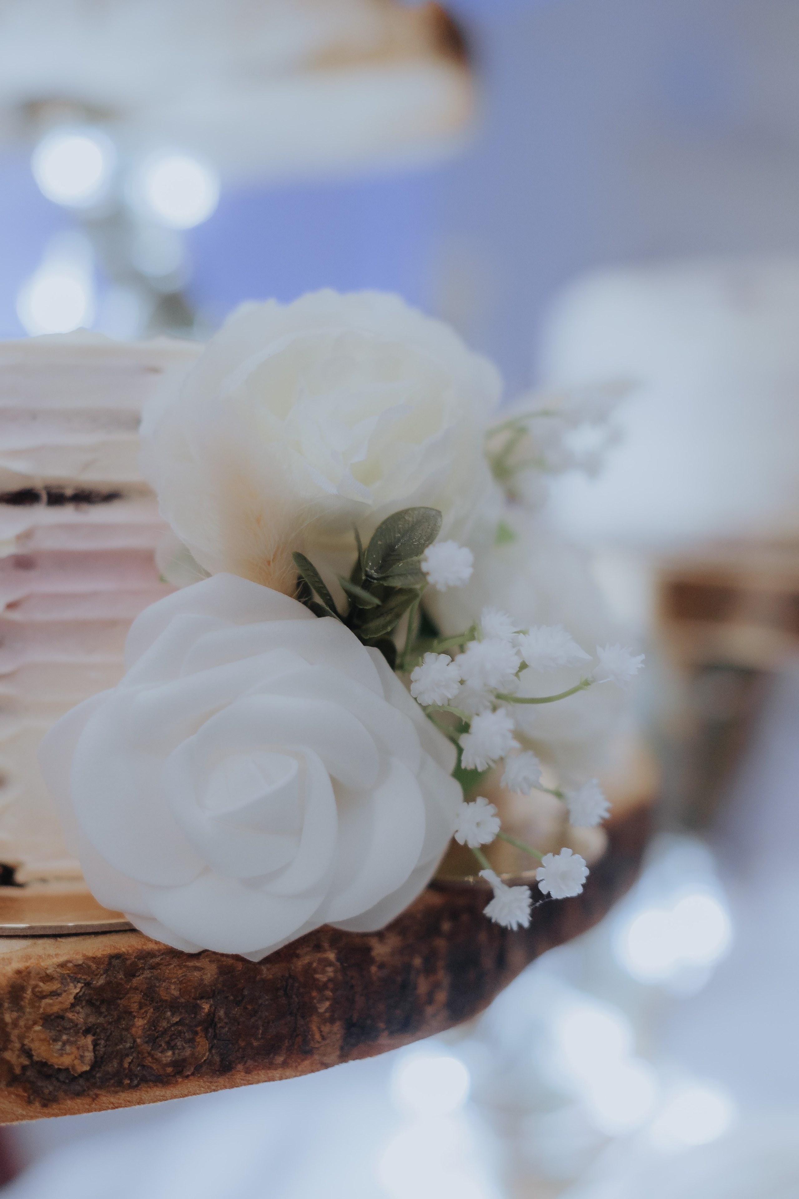 Amina & Tarik ⎸ Bihać. Profesionalna Fotografija i Videografija | Sarajevo | yasinemir.com