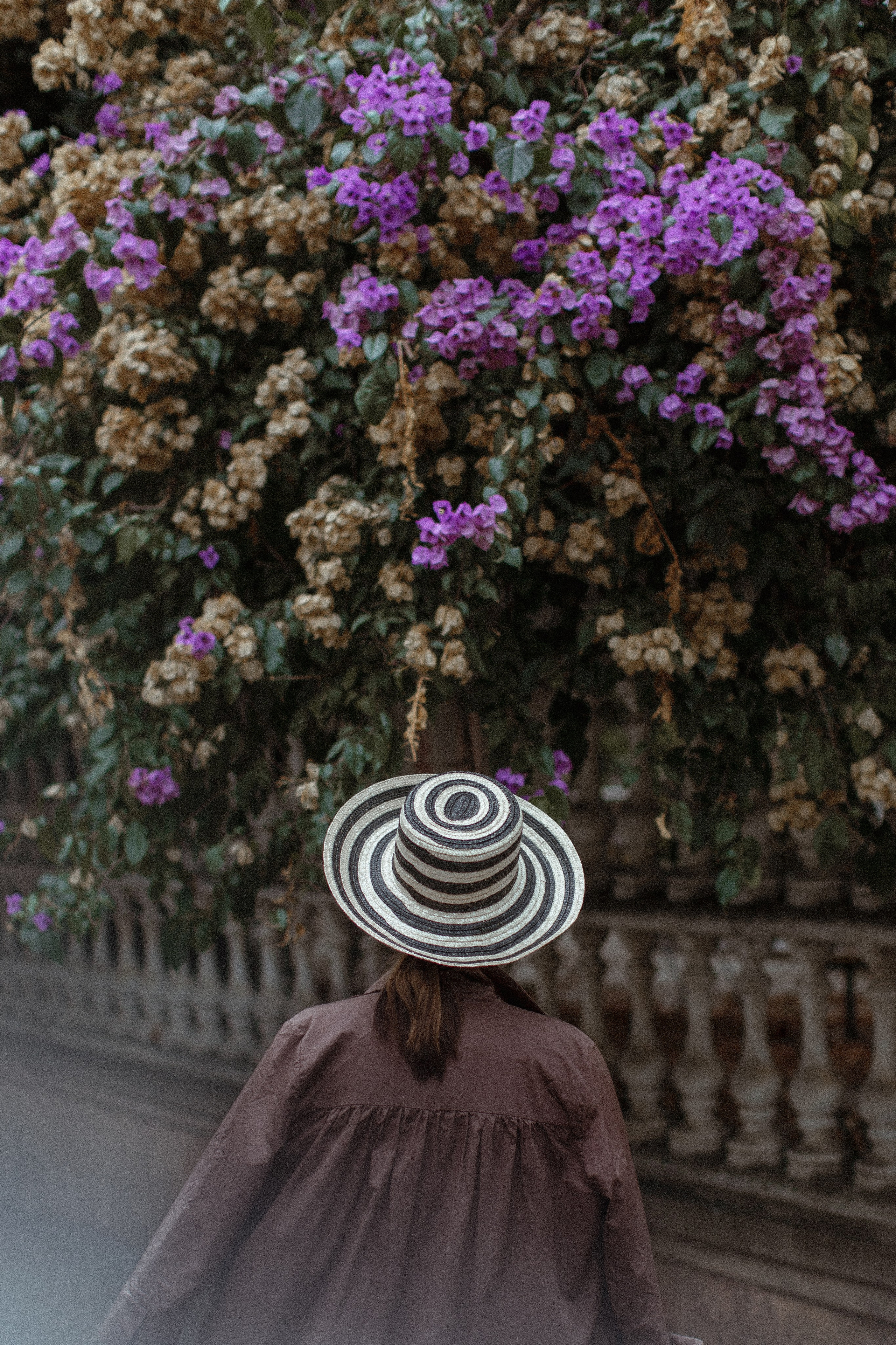 Татьяна. Отпуск на Принцевых островах. True self