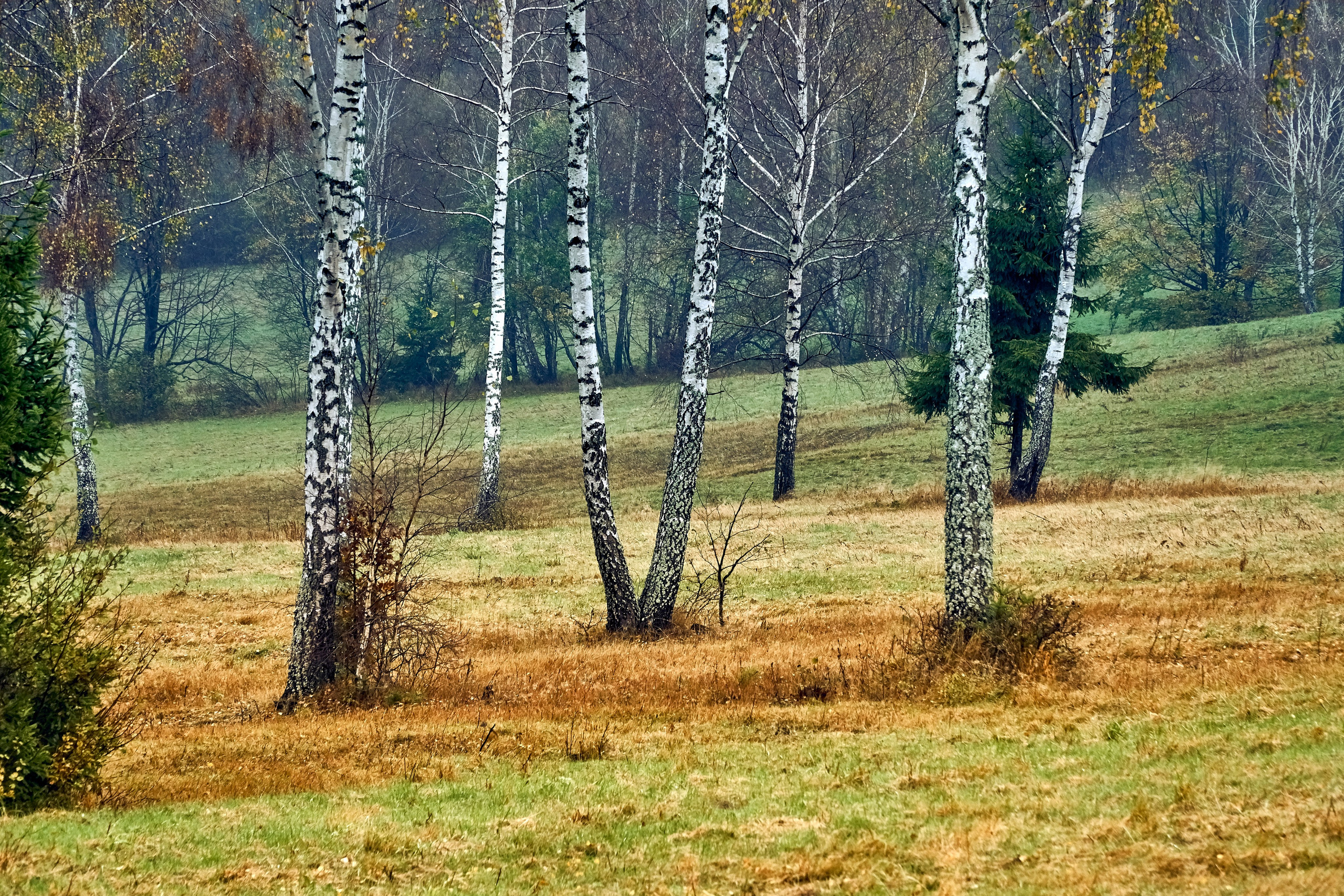 Bieszczady - tu zatrzymuje się czas. Andriej Szypilow - Fotografia & Wideografia