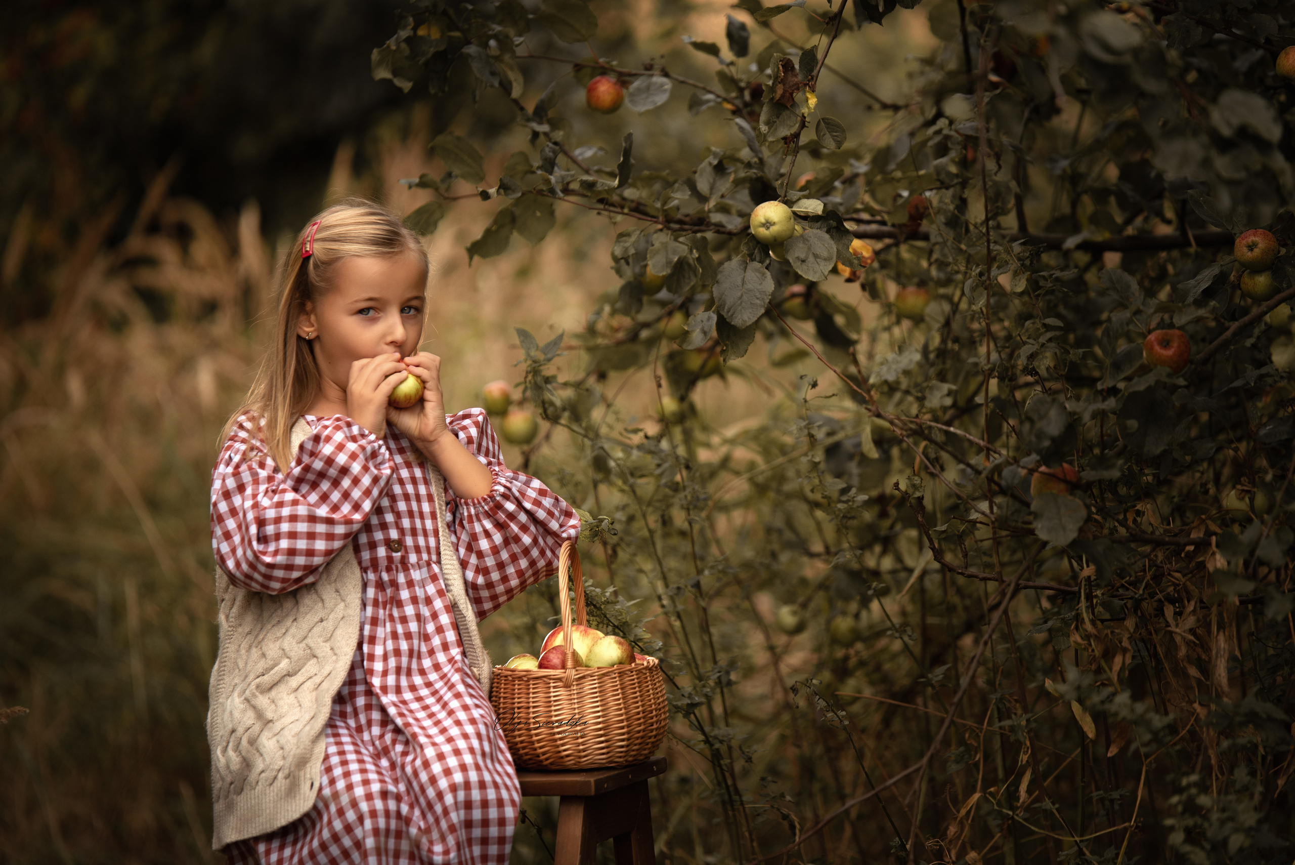 Sesje rodzinne i dziecięce. Olga Sieradzka fotograf rodzinny, ciążowy i dziecięcy w Pile