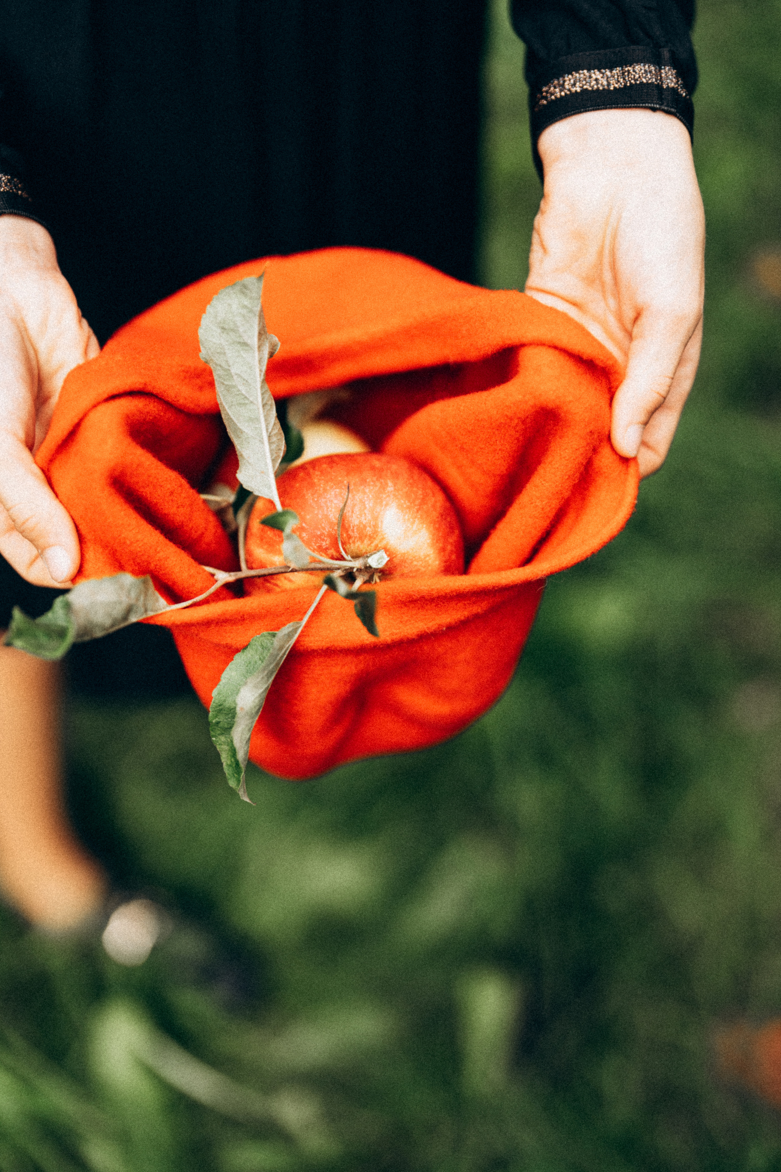 Яблочный сад. Family, Lifestyle and Portrait photograher in Trier, Germany