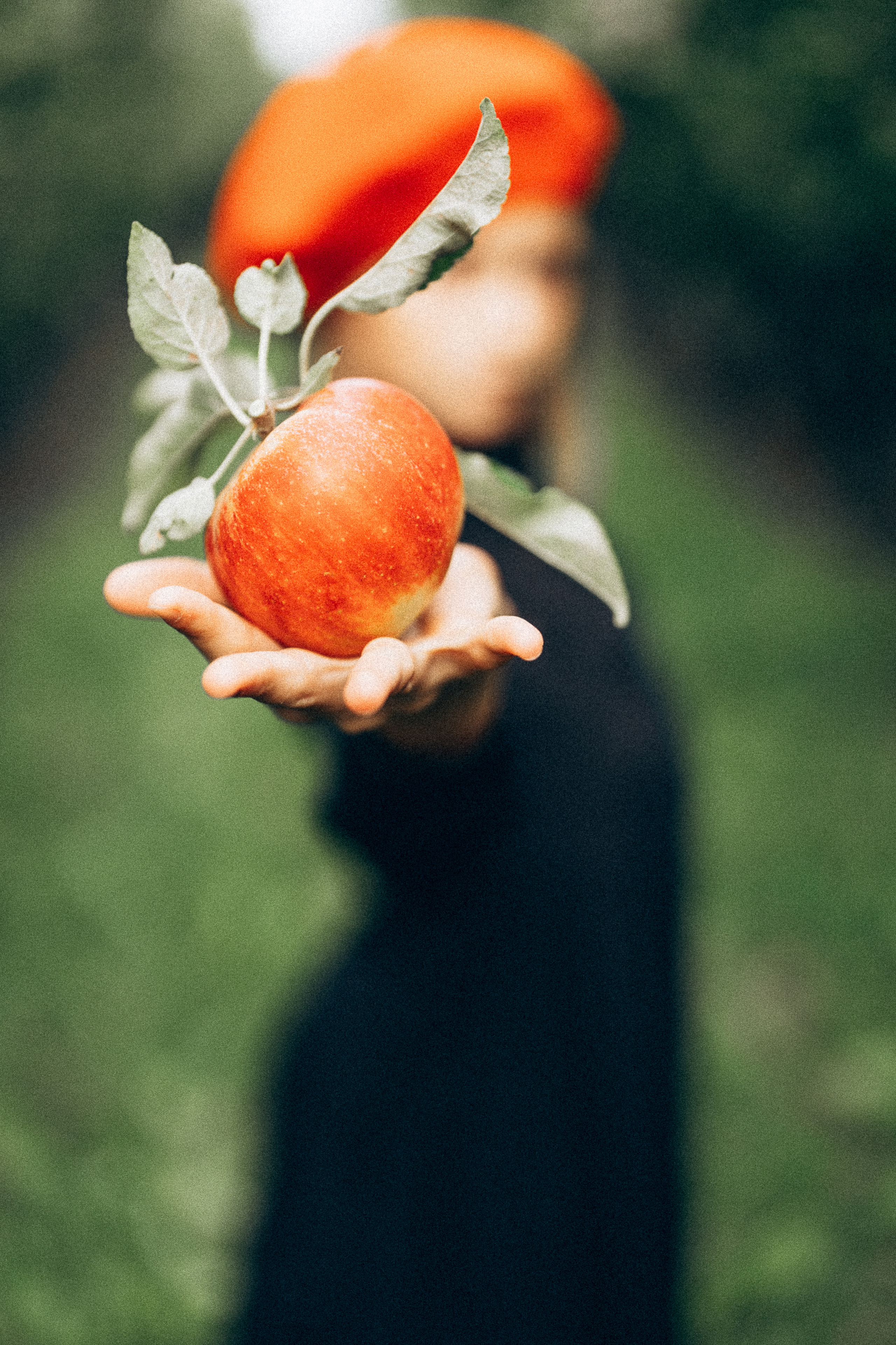 Яблочный сад. Family, Lifestyle and Portrait photograher in Trier, Germany