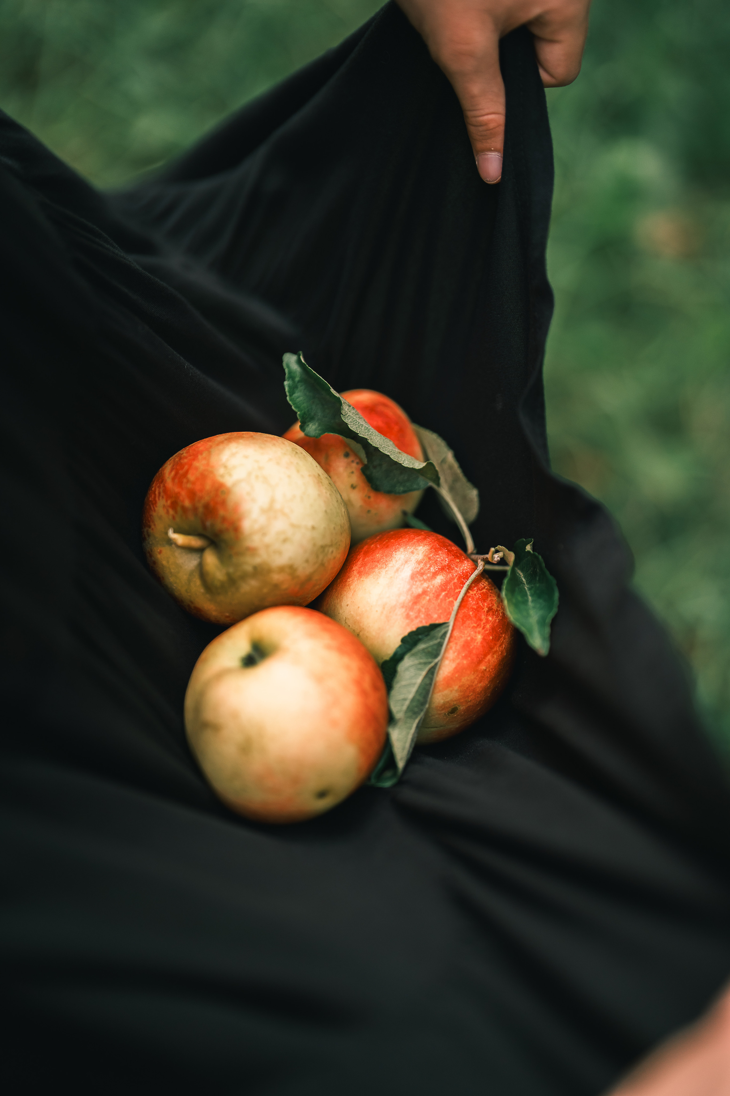Яблочный сад. Family, Lifestyle and Portrait photograher in Trier, Germany