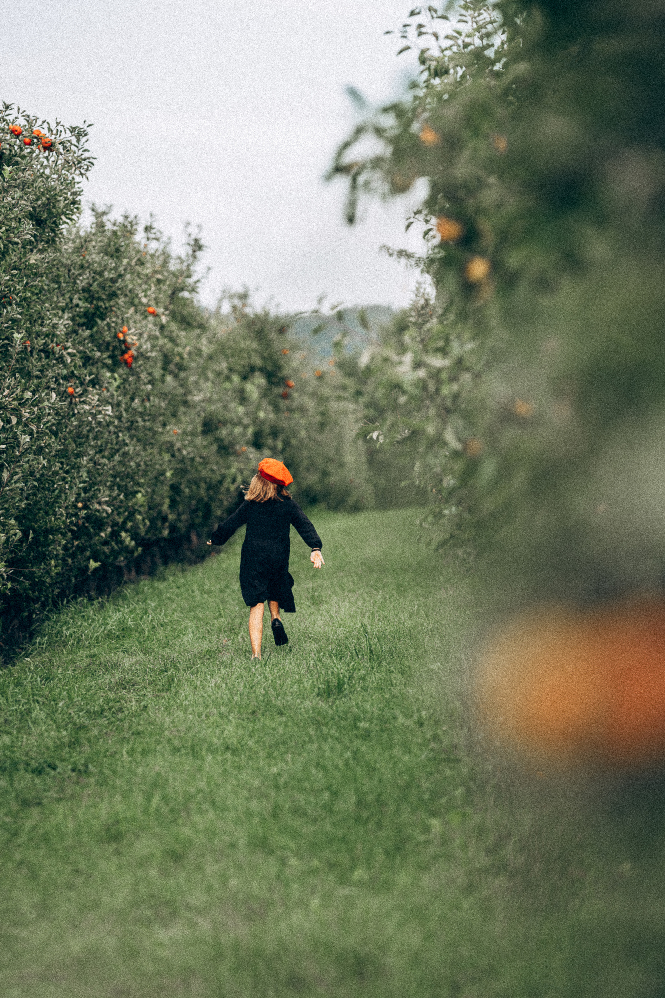 Яблочный сад. Family, Lifestyle and Portrait photograher in Trier, Germany