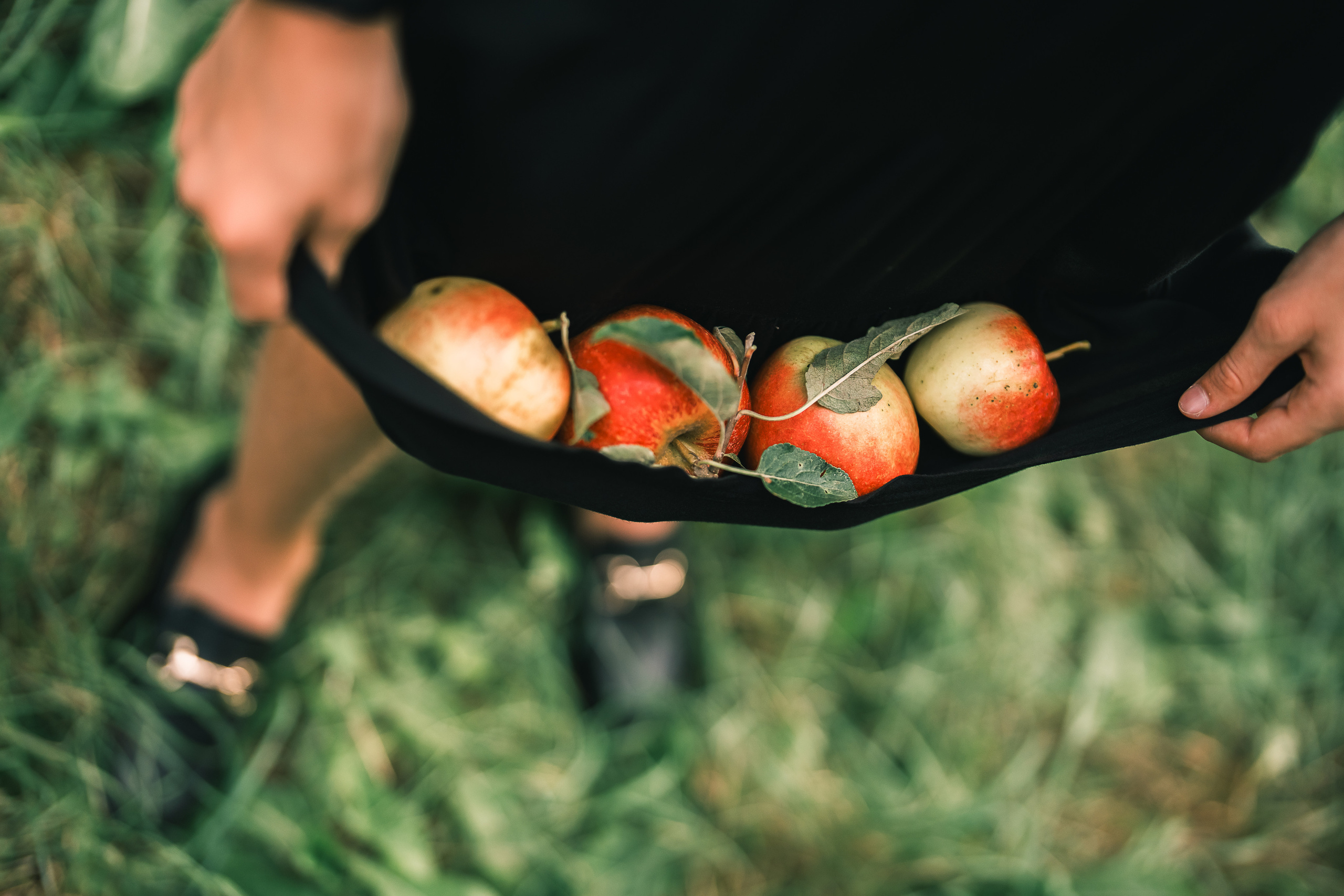 Яблочный сад. Family, Lifestyle and Portrait photograher in Trier, Germany