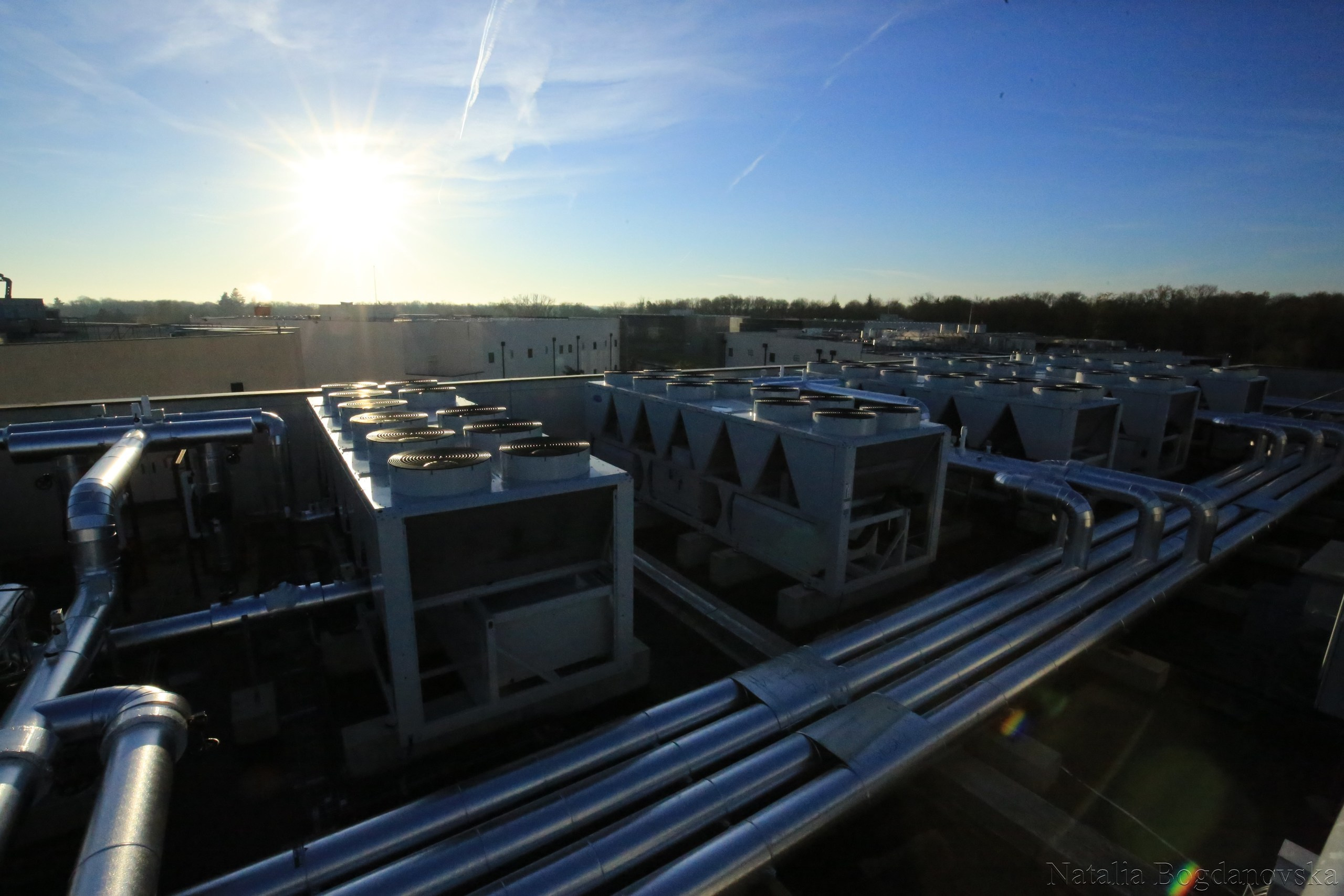 Entreprise. Natalia Bogdanovska. Films et photographie corporate en France