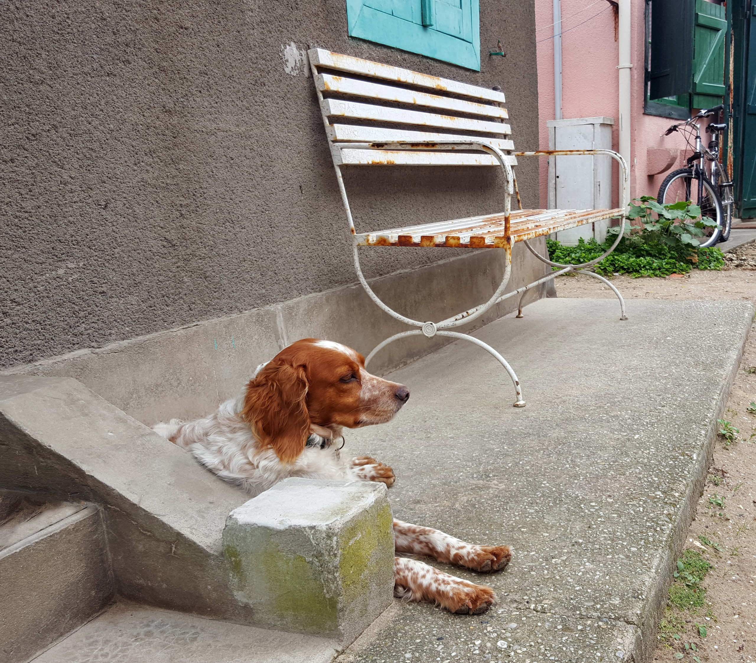 NATURE MORTE et VIVANTE. Natalia Bogdanovska. Films et photographie corporate en France