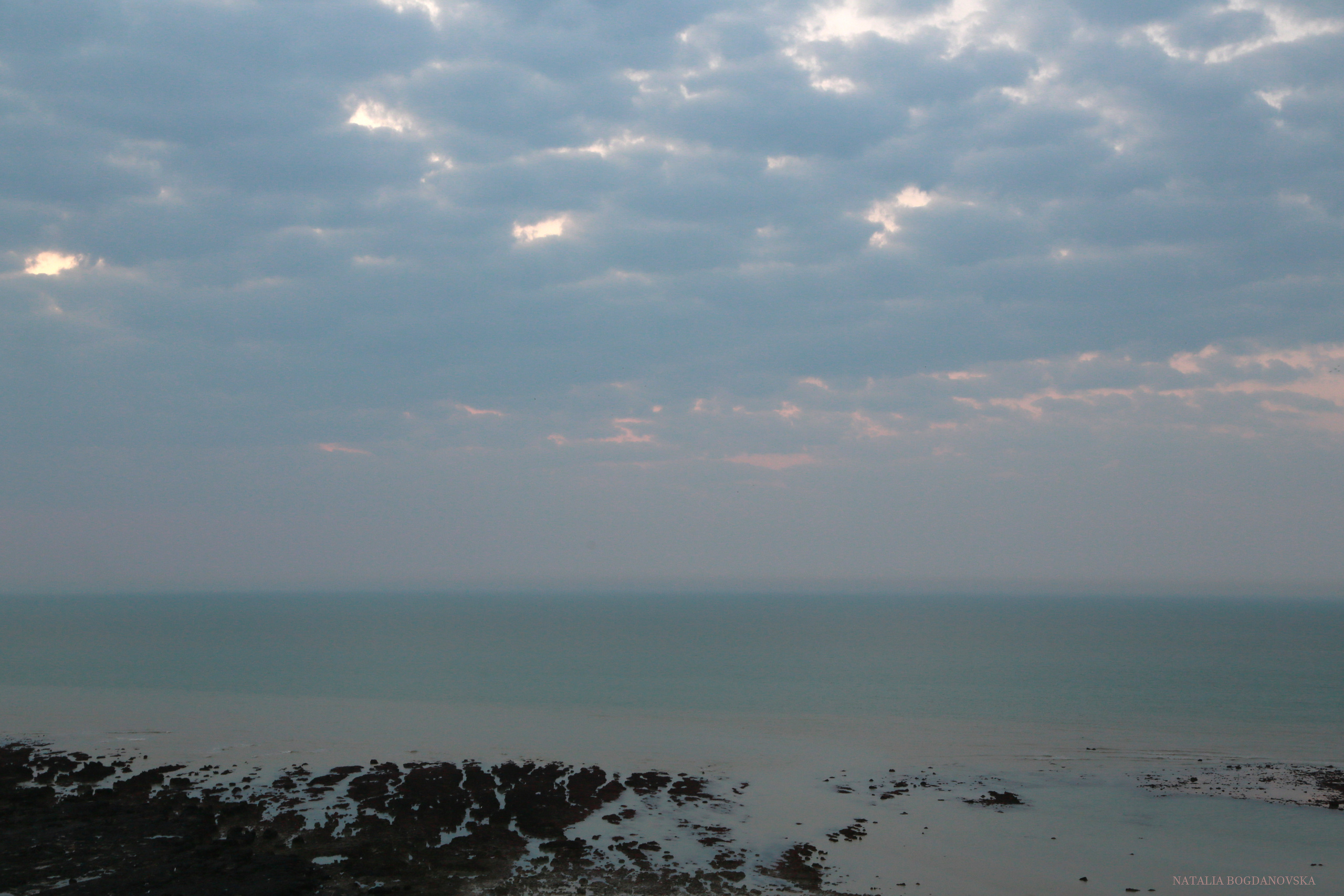 NATURE MORTE et VIVANTE. Natalia Bogdanovska. Films et photographie corporate en France