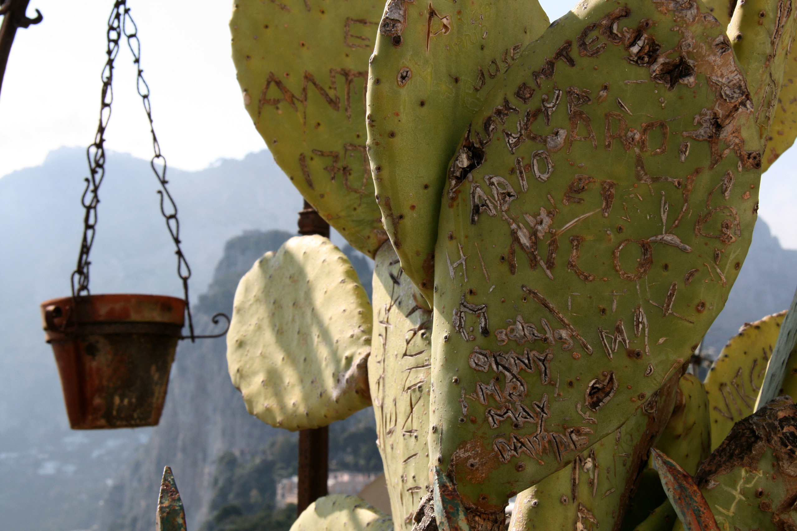 NATURE MORTE et VIVANTE. Natalia Bogdanovska. Films et photographie corporate en France