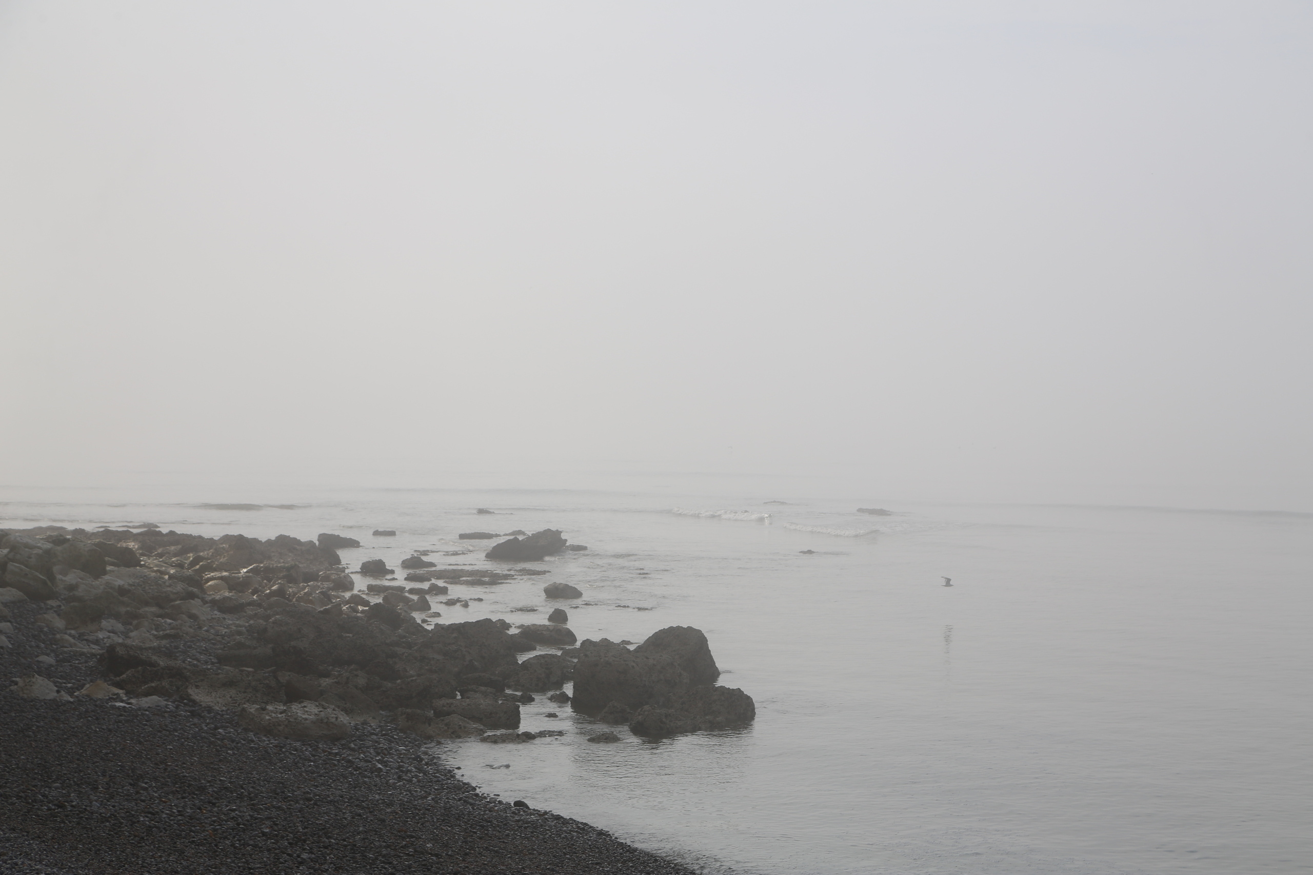 NATURE MORTE et VIVANTE. Natalia Bogdanovska. Films et photographie corporate en France