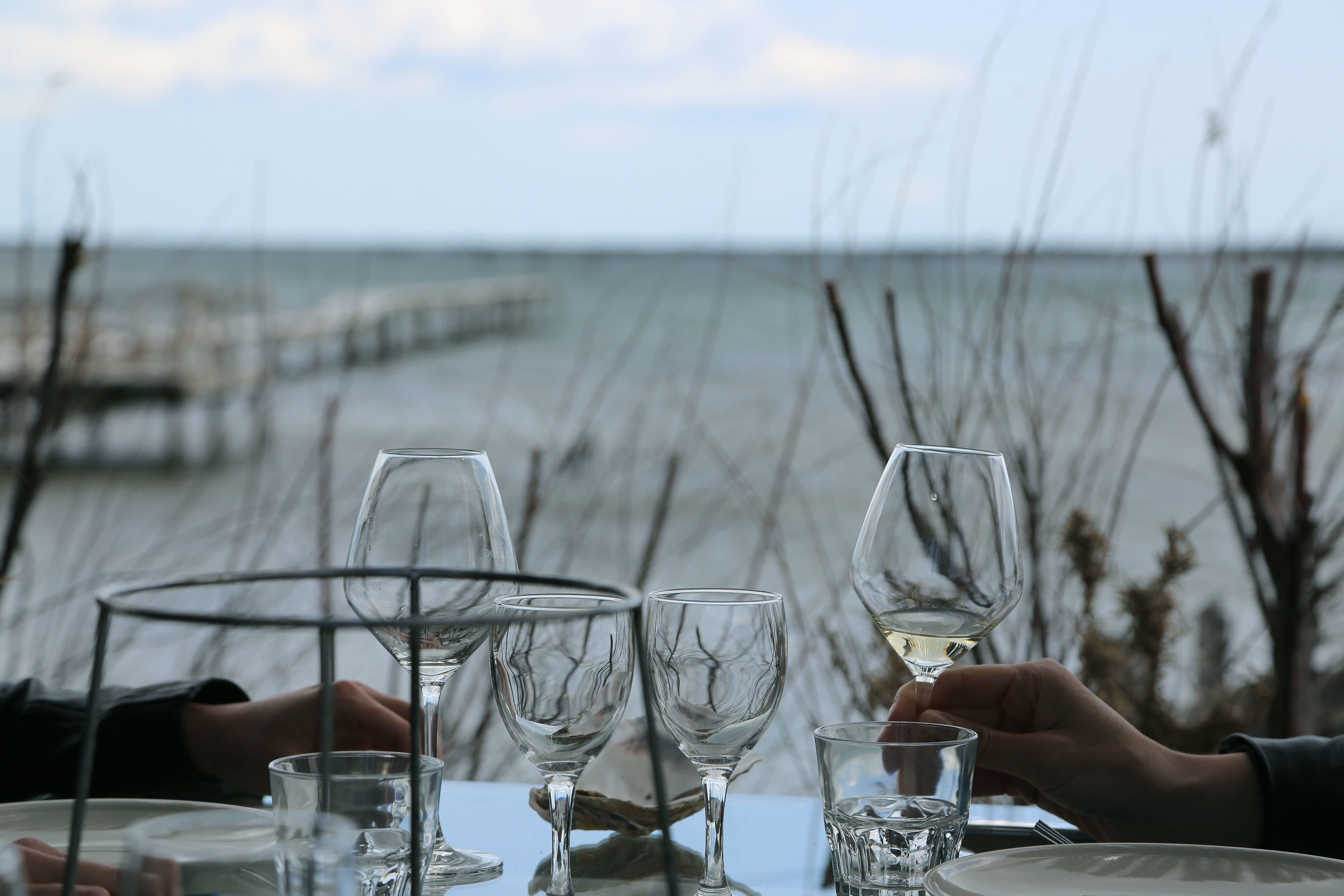 NATURE MORTE et VIVANTE. Natalia Bogdanovska. Films et photographie corporate en France