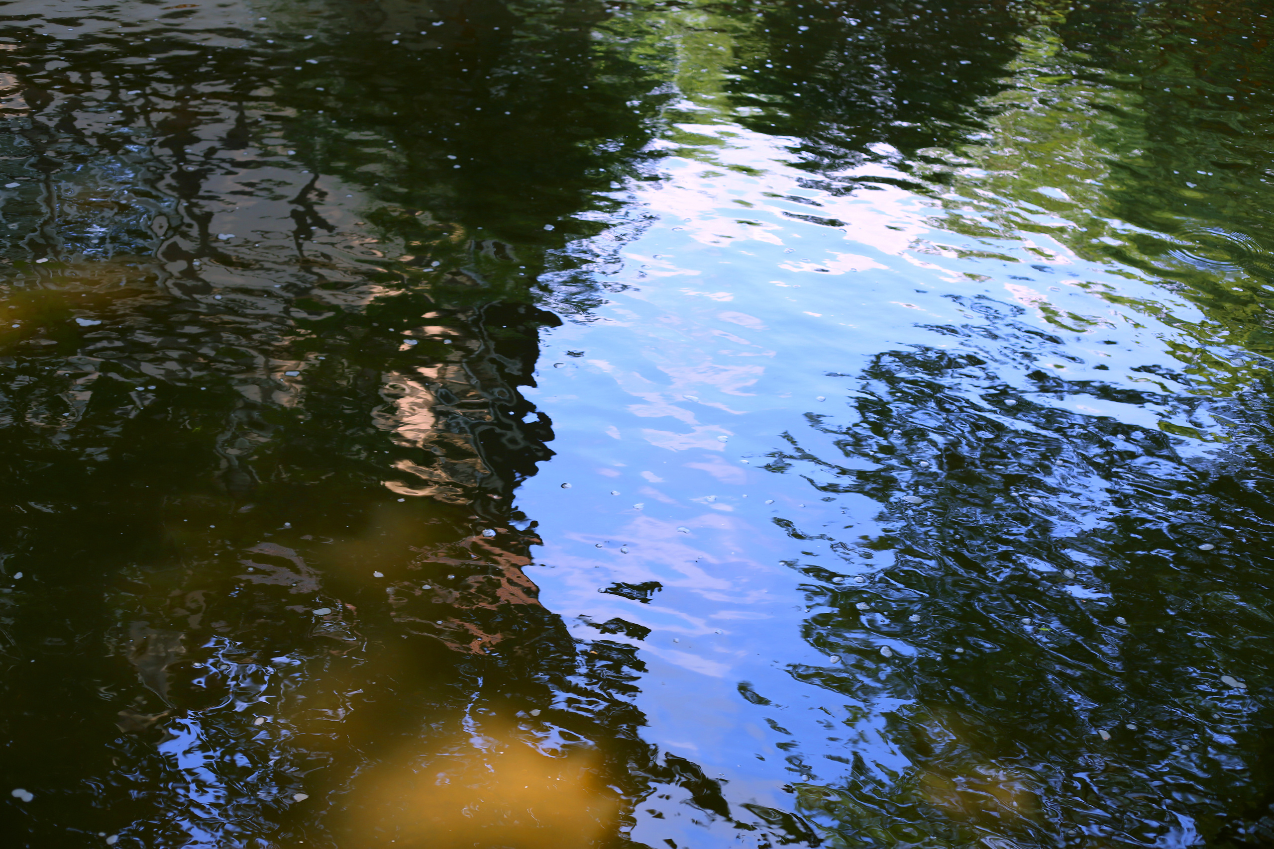 NATURE MORTE et VIVANTE. Natalia Bogdanovska. Films et photographie corporate en France